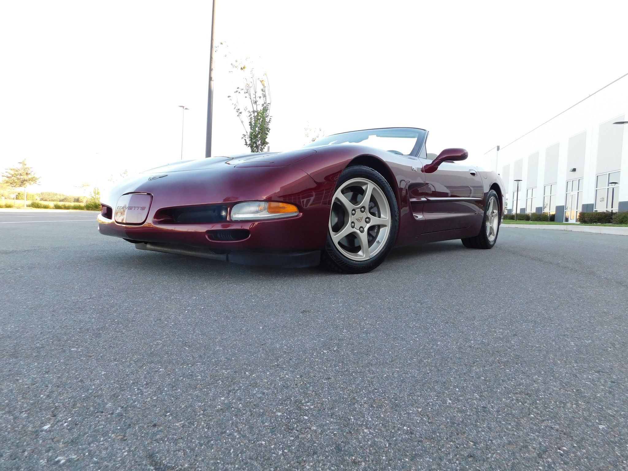 Gallery photo 2