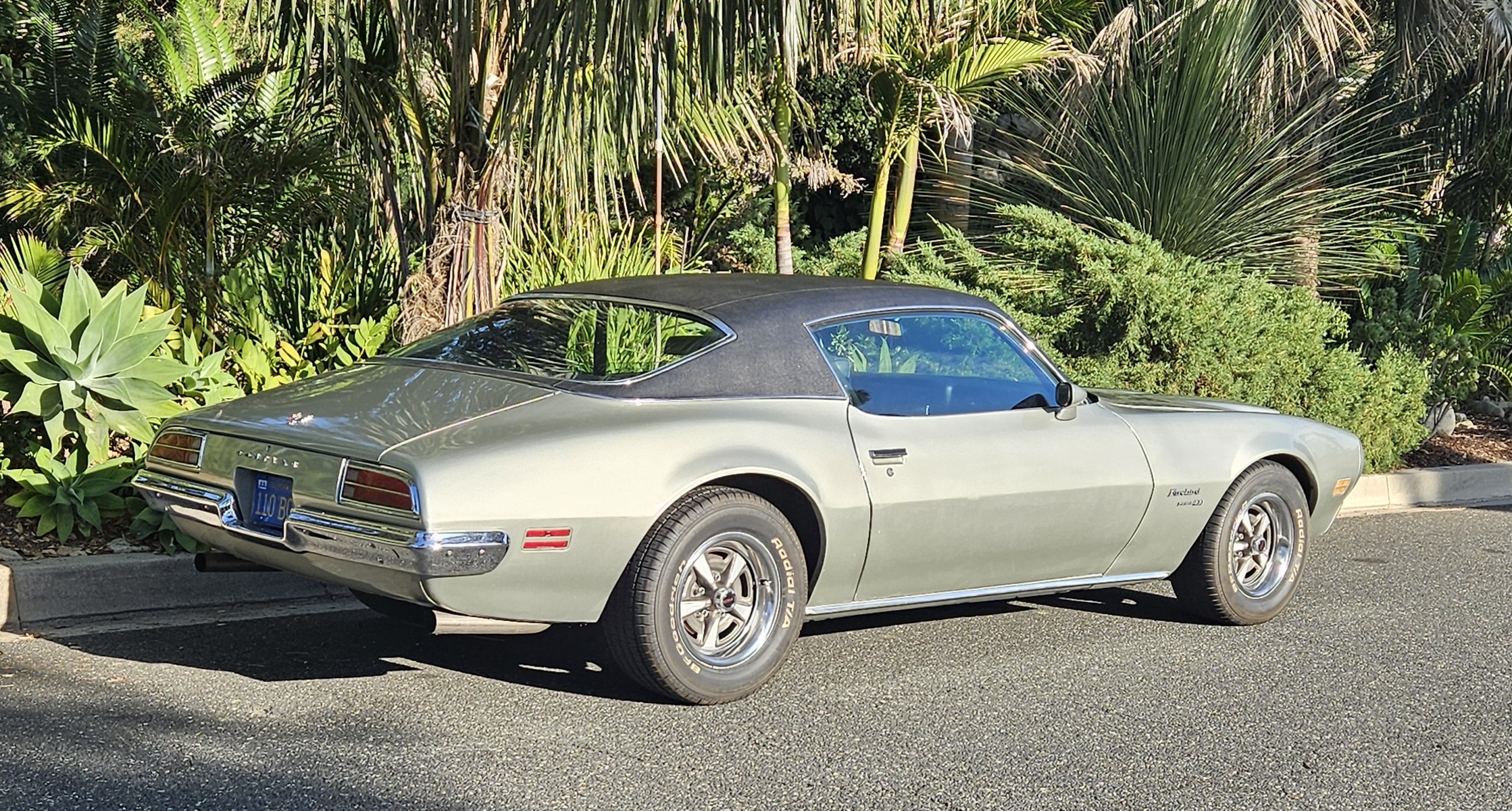 Gallery photo 2