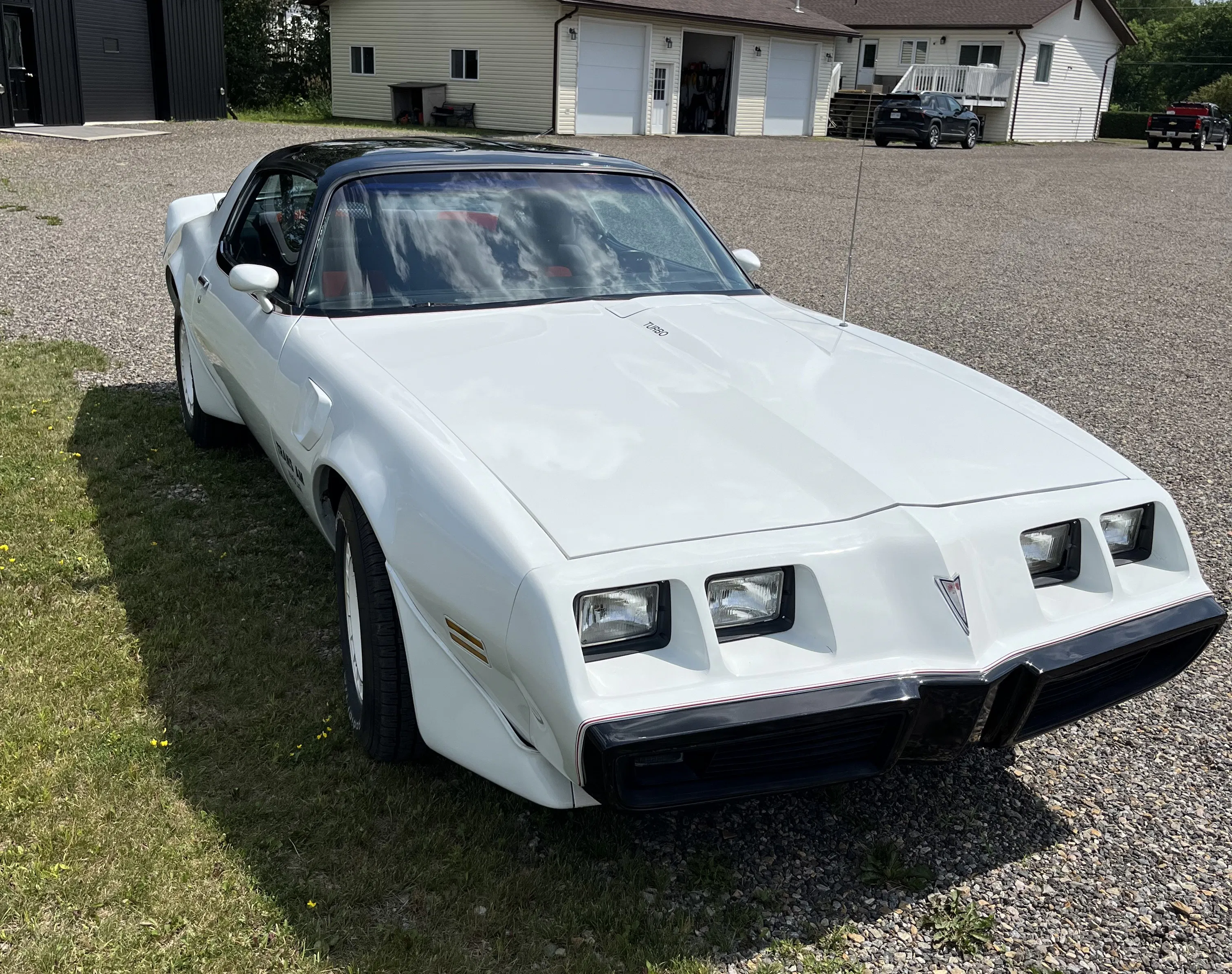 1981 Pontiac Firebird Trans Am
