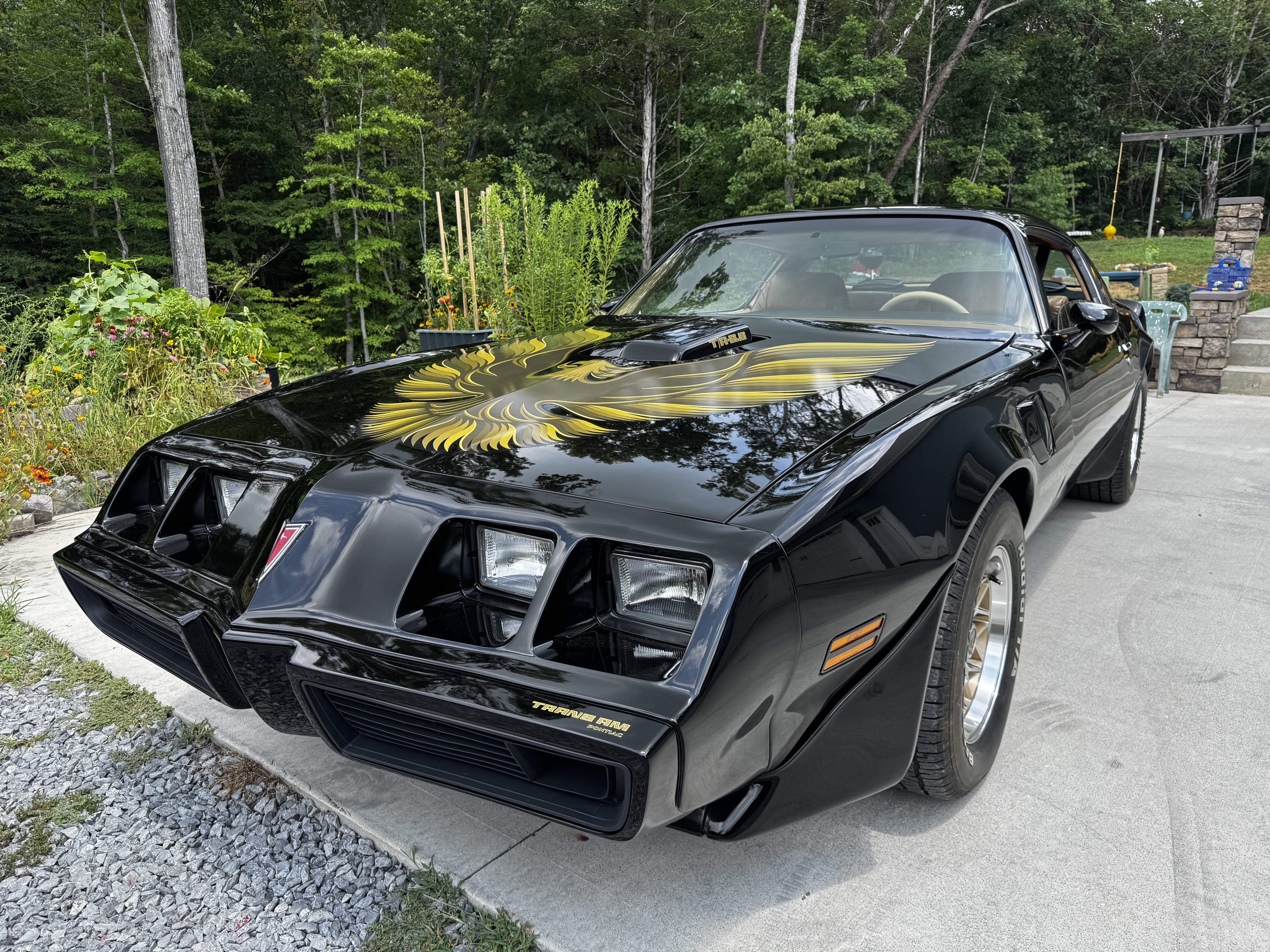 1979 Pontiac Firebird Trans Am
