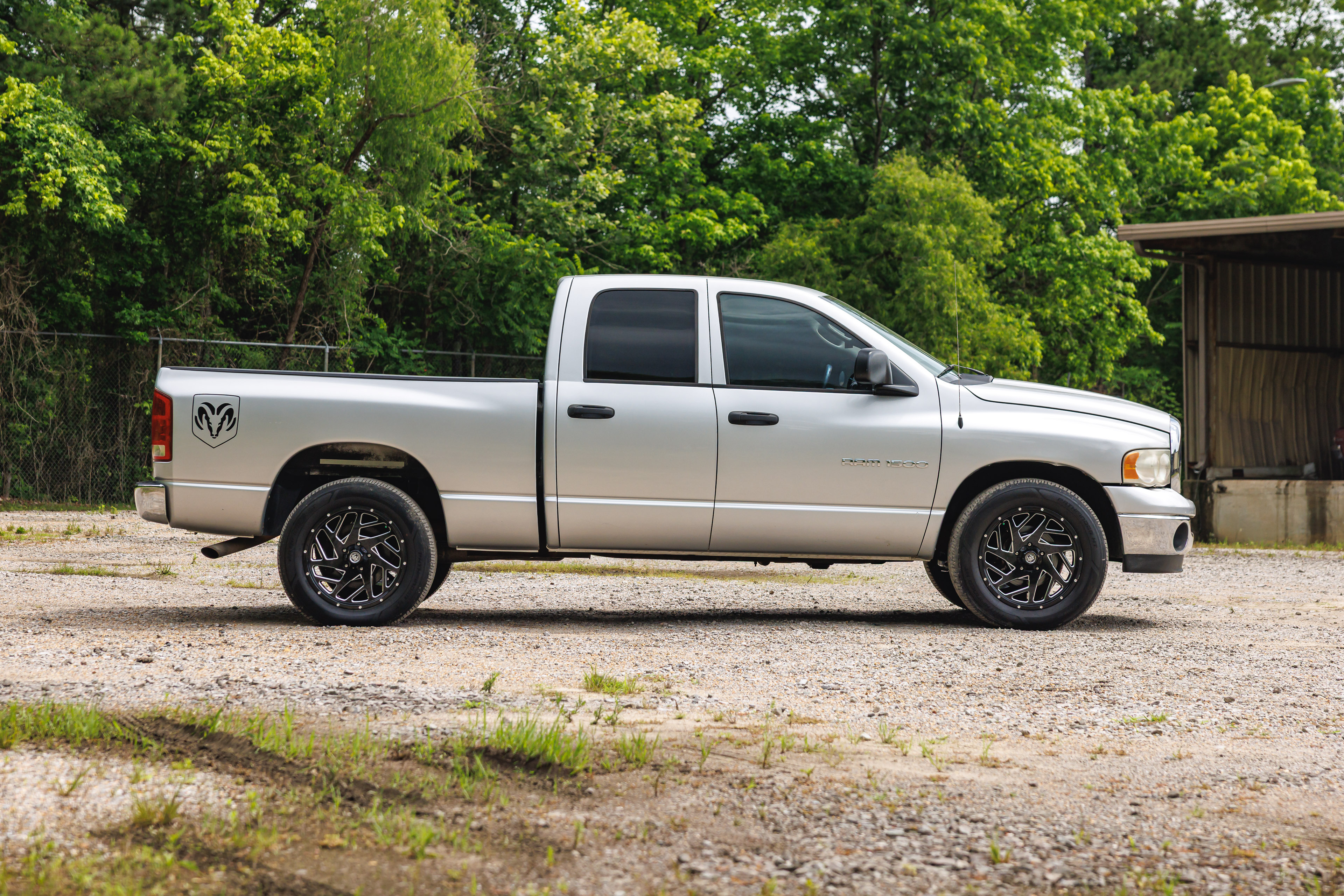 Gallery photo 6