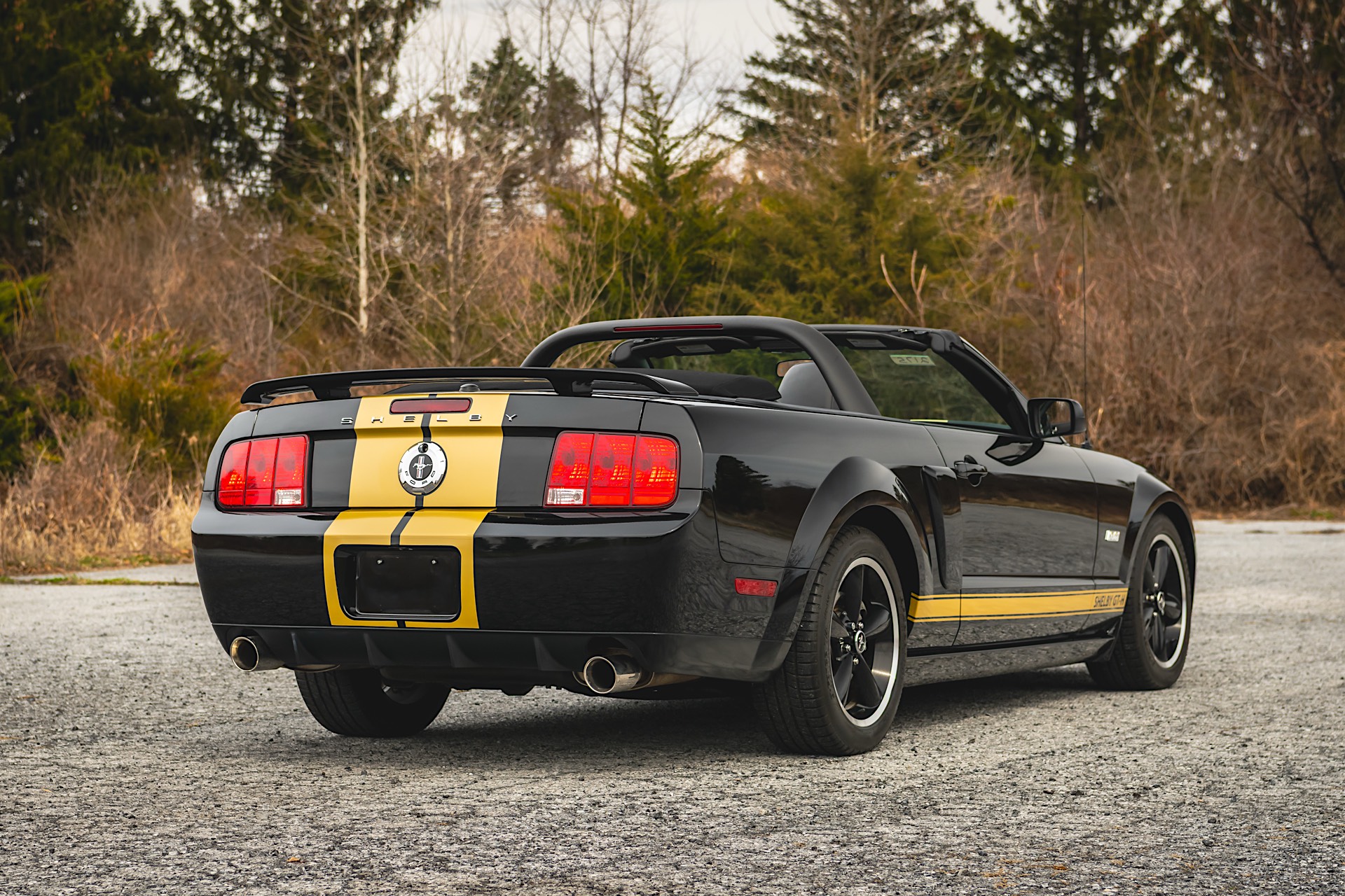 ShelbyGTH217583of309R