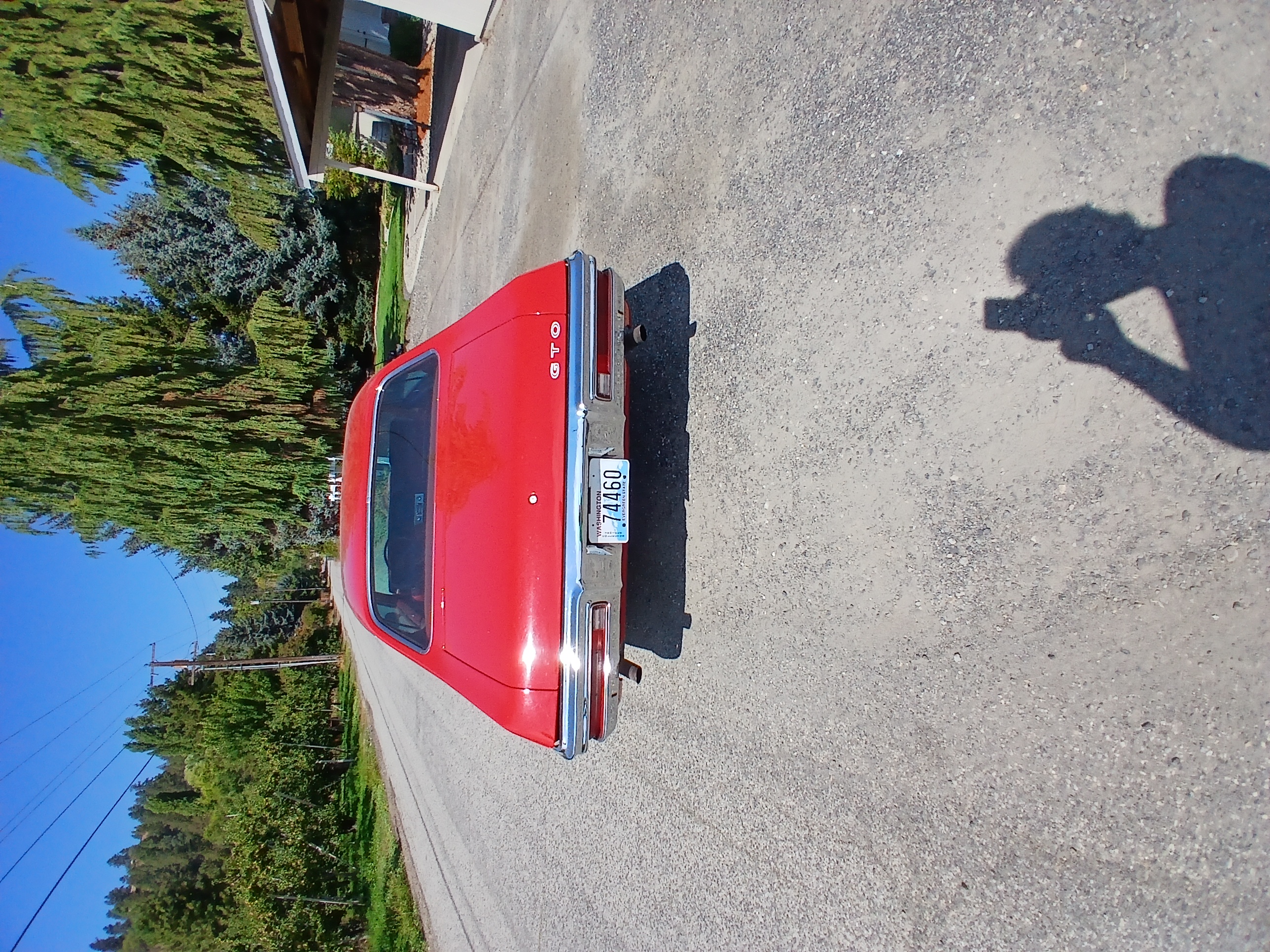 Gallery photo 6