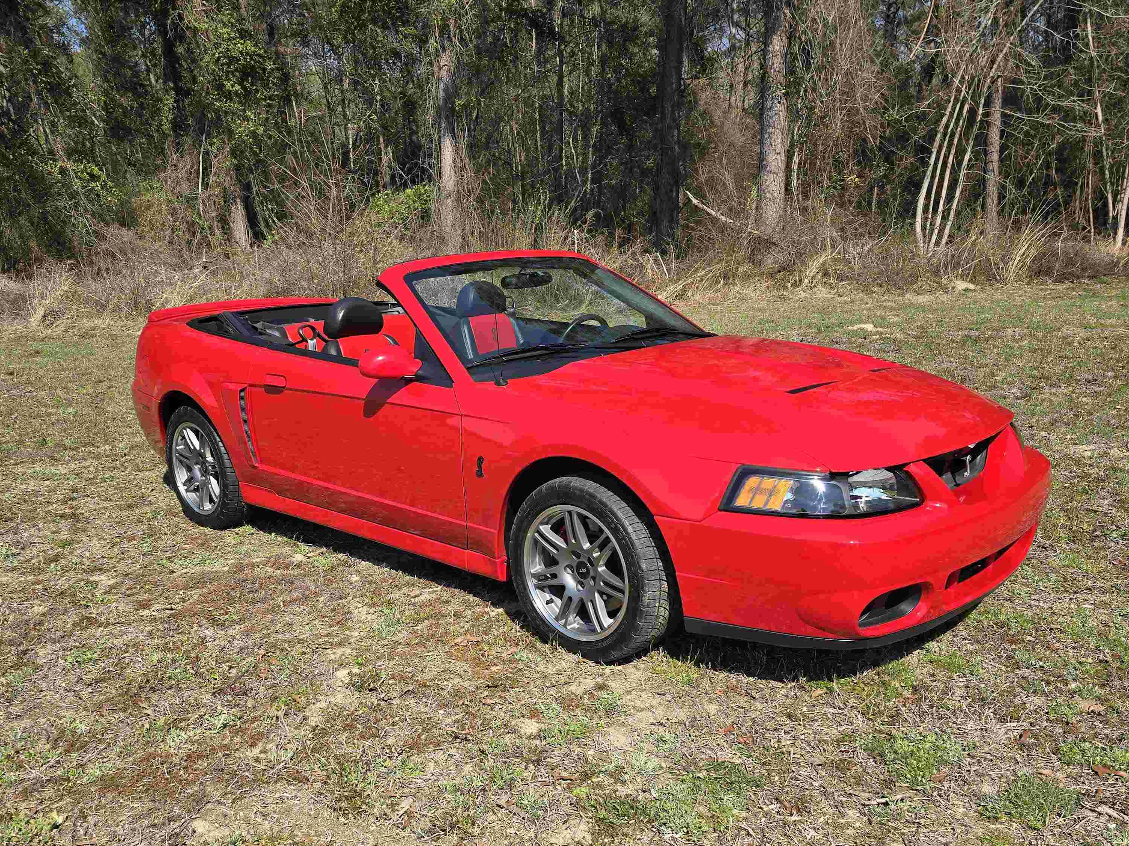 12k-Mile 2003 Ford Mustang Cobra SVT 10th Anniversary Edition