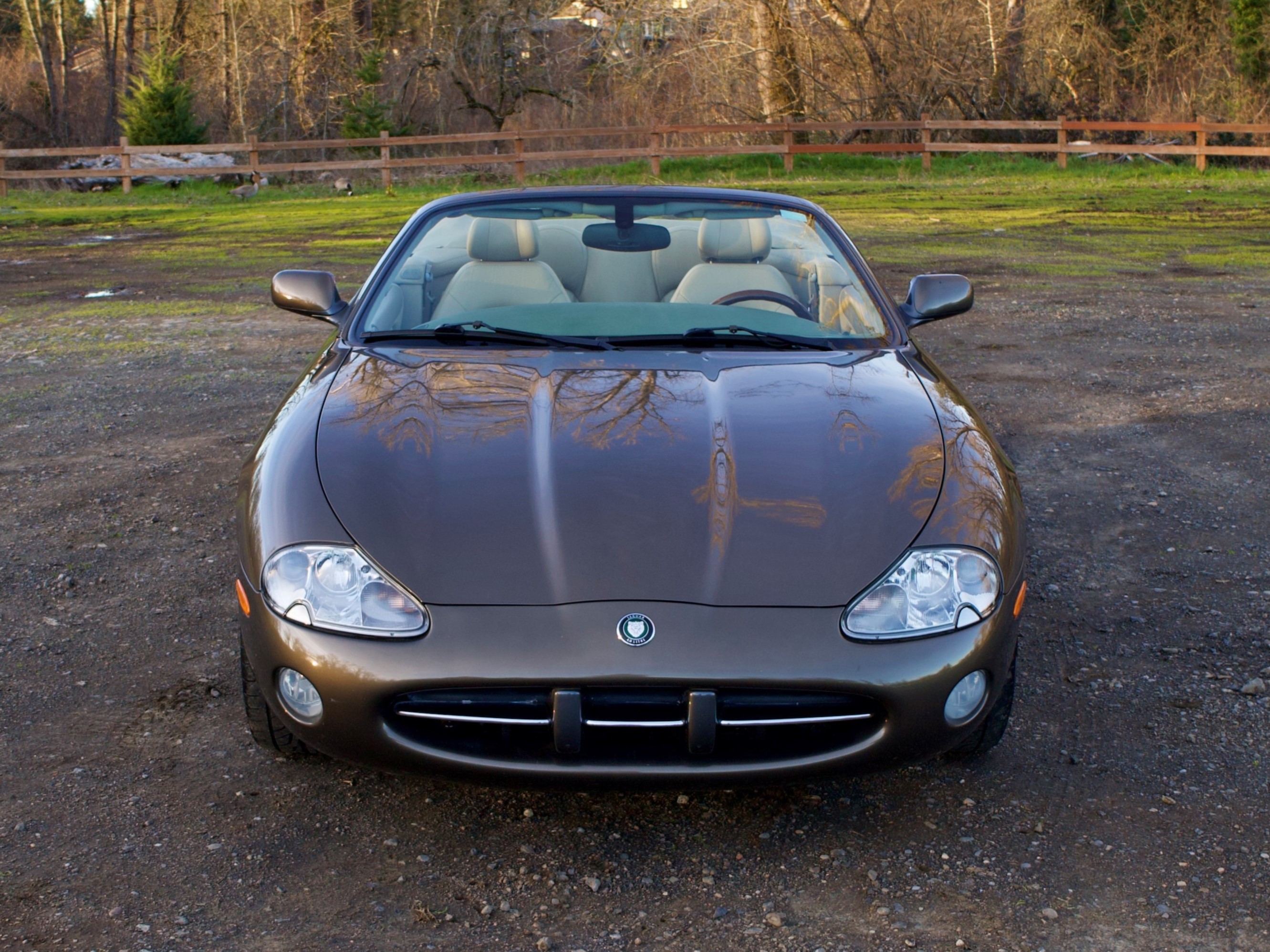 2001 Jaguar XK8 Convertible for sale | Hagerty Marketplace