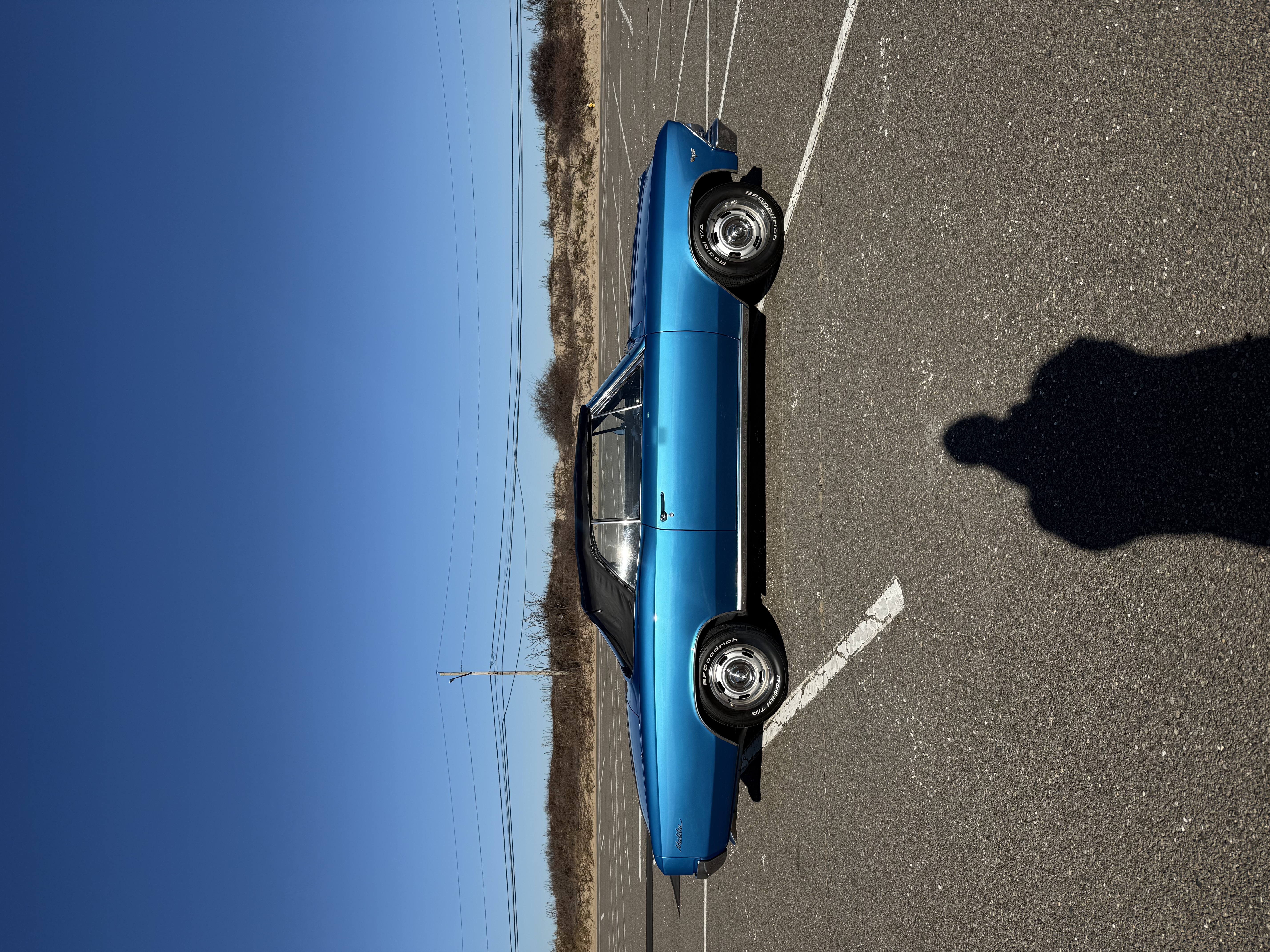 Gallery photo 4