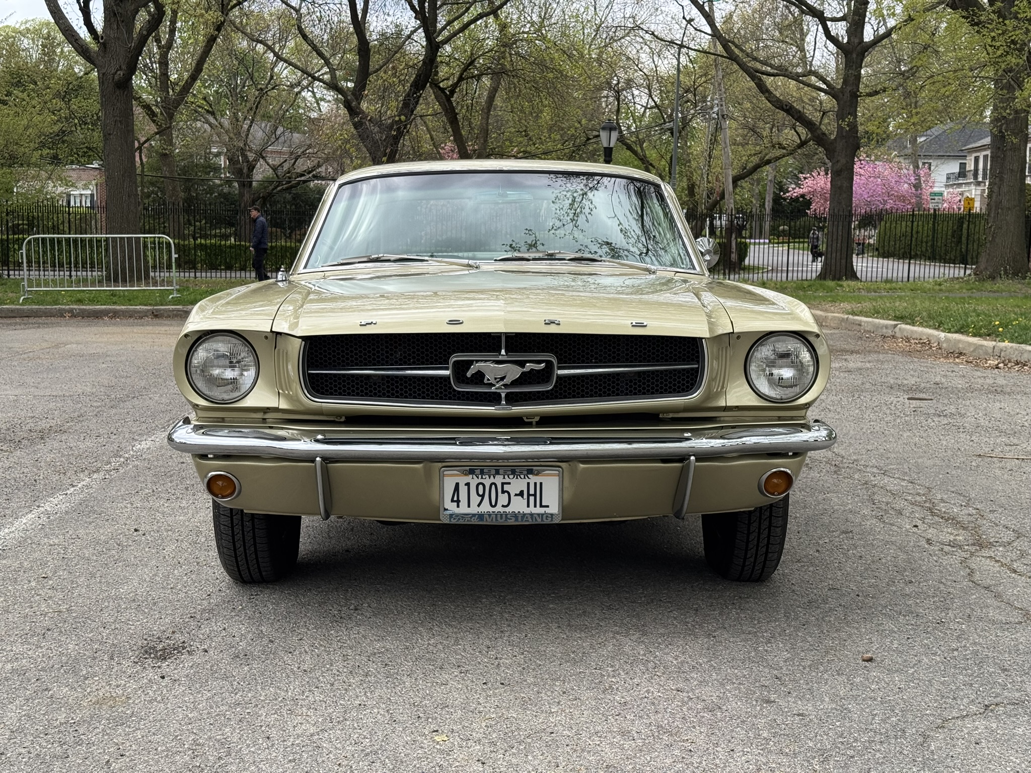 1965 Ford Mustang Coupe 289 for sale | Hagerty Marketplace