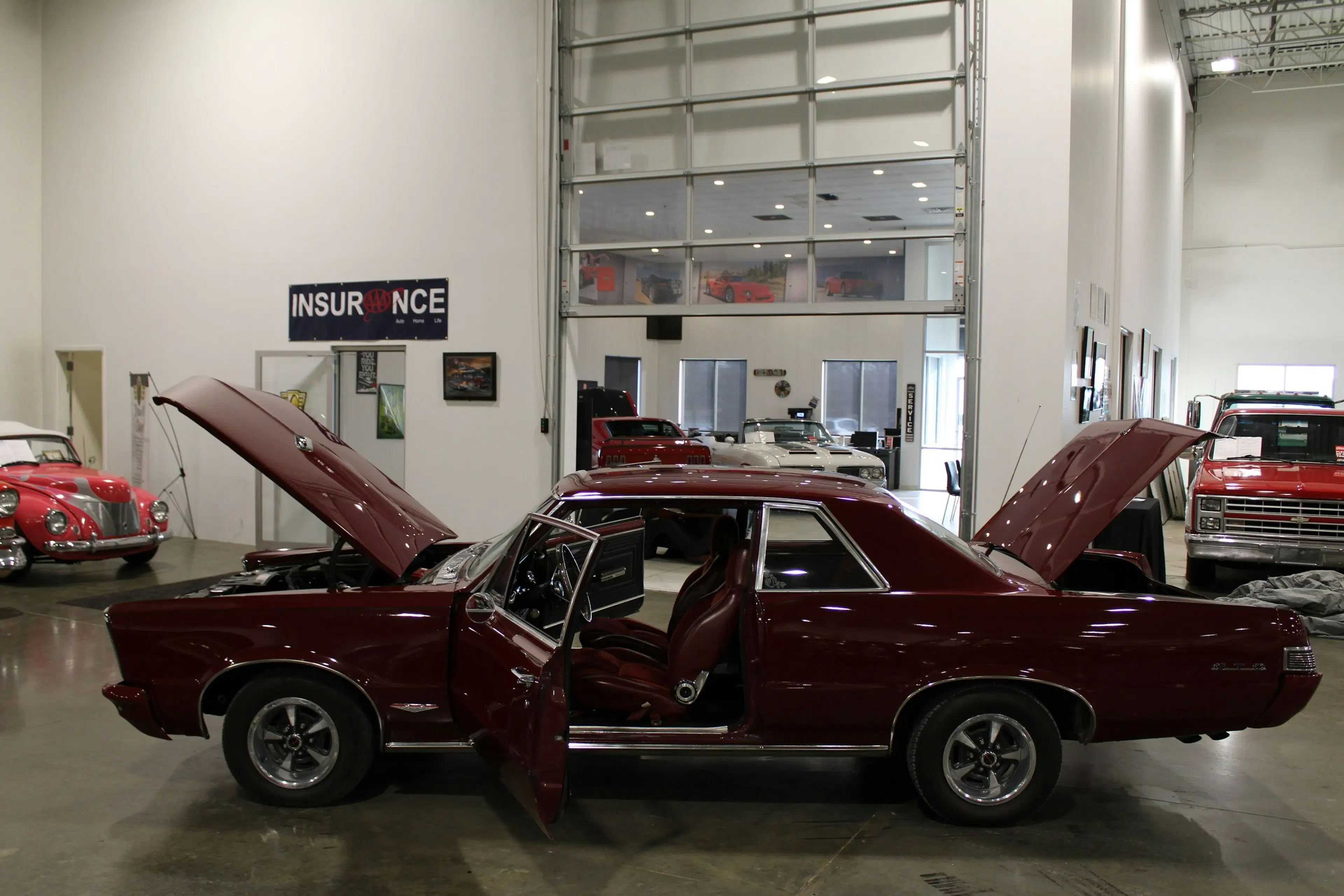 Gallery photo 6
