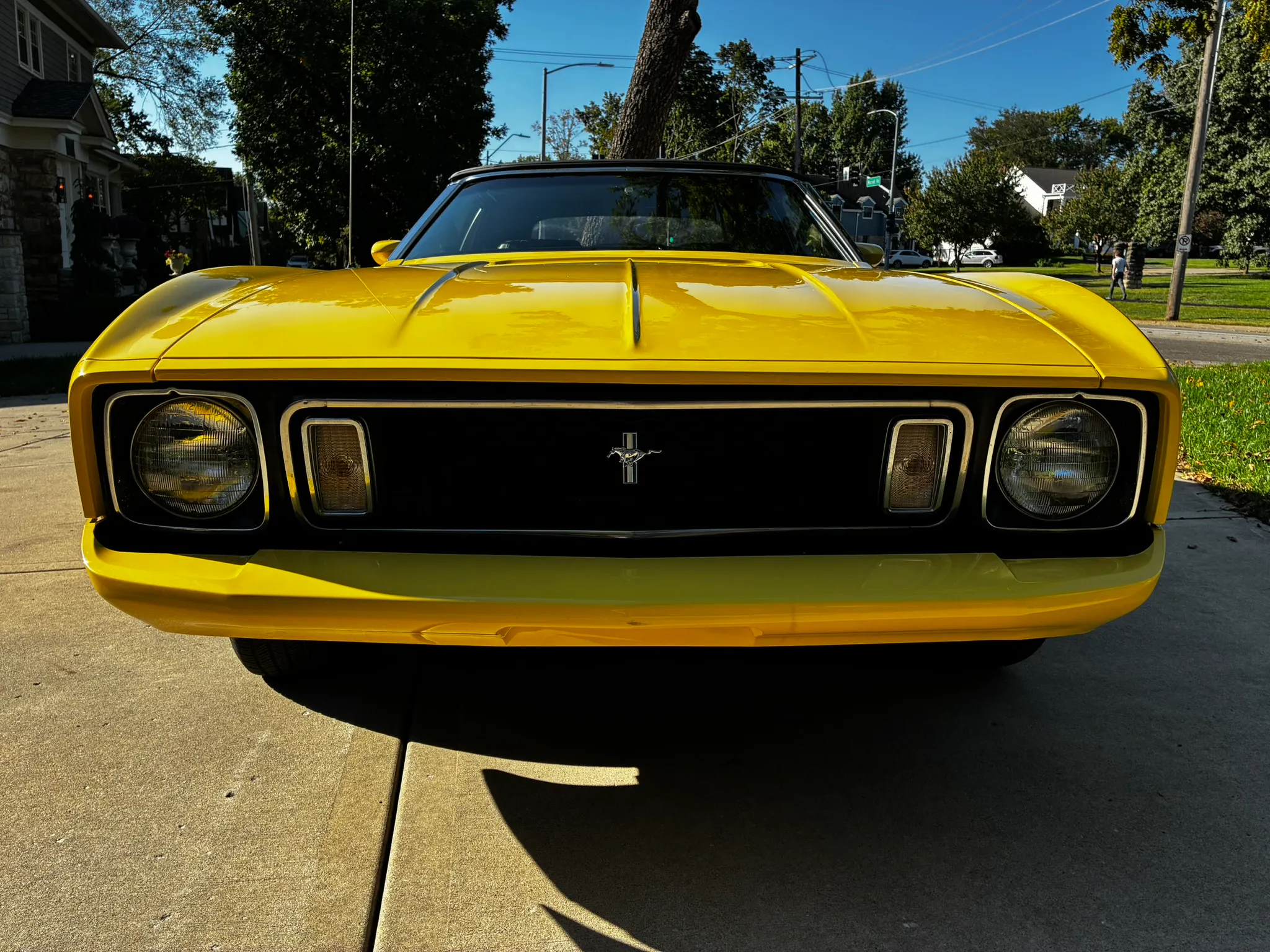 Gallery photo 1