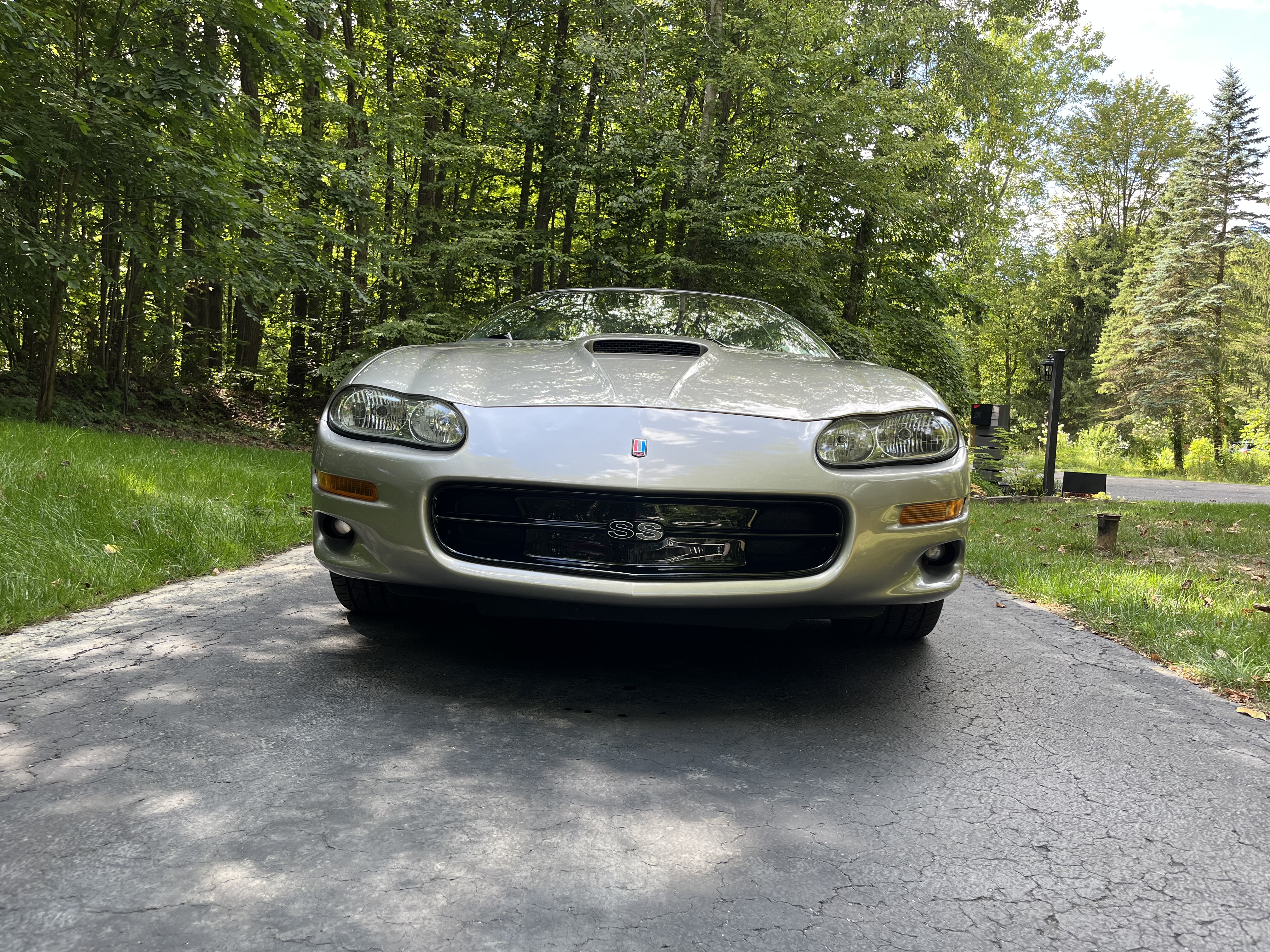 Gallery photo 4