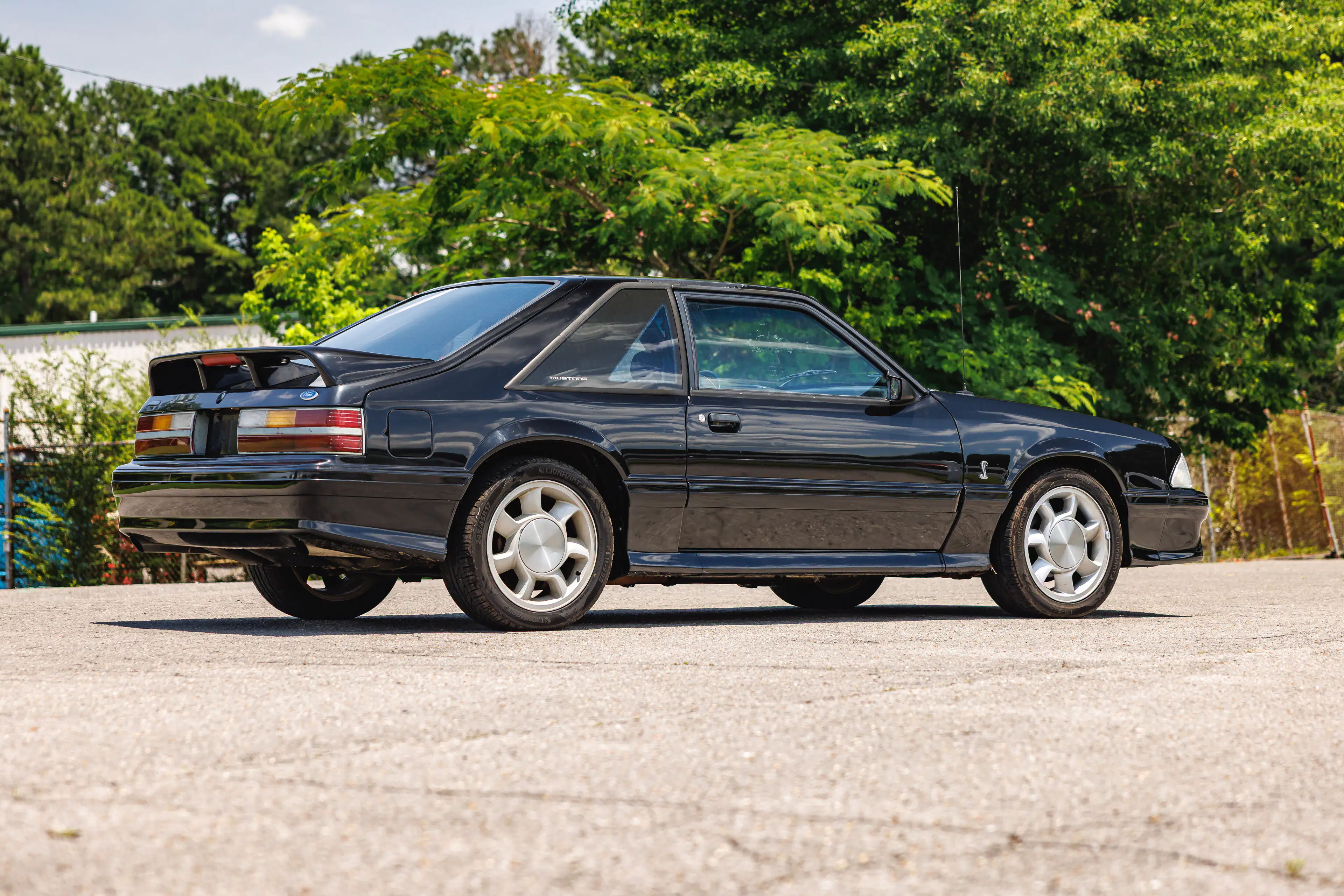 Gallery photo 2