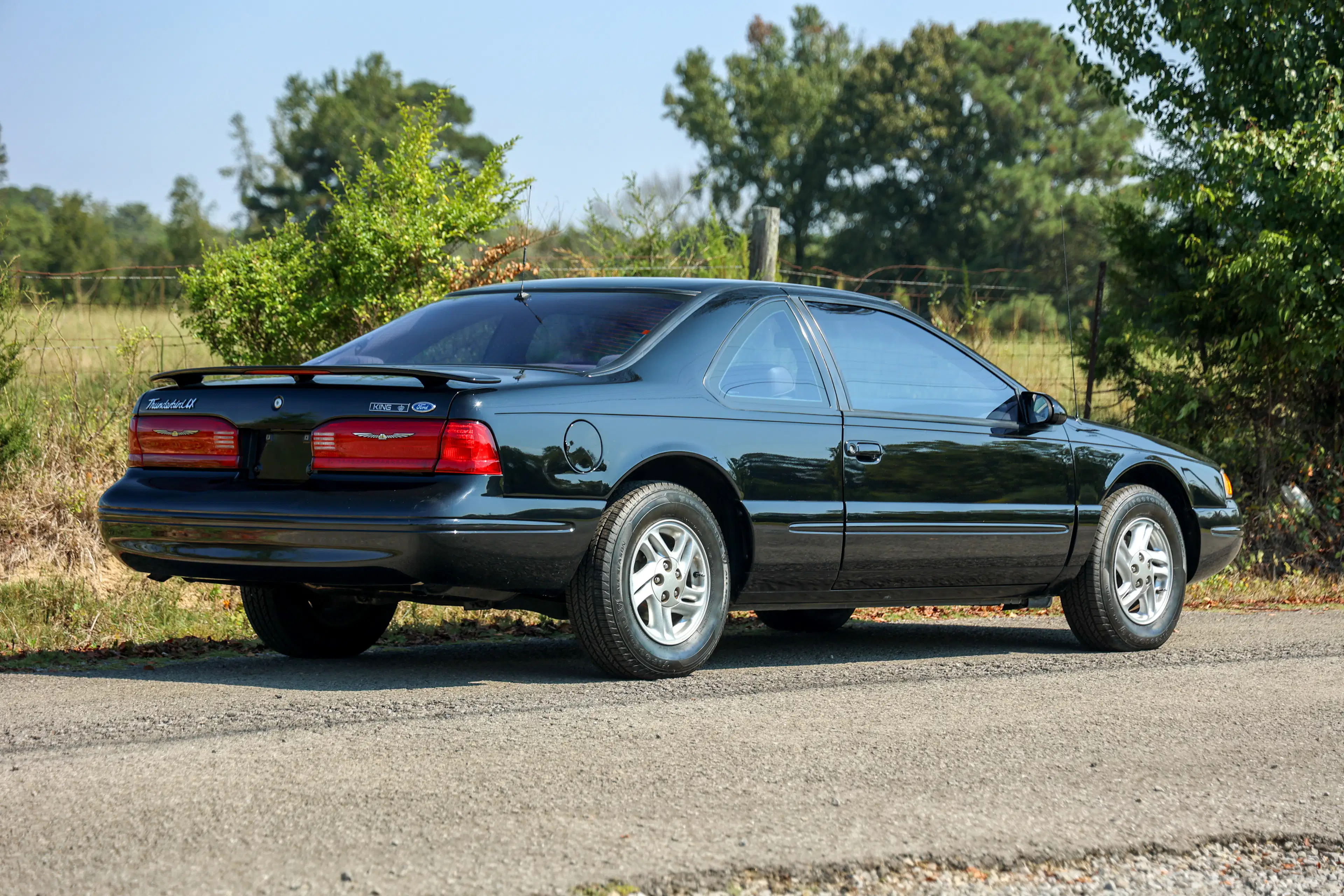 Gallery photo 4