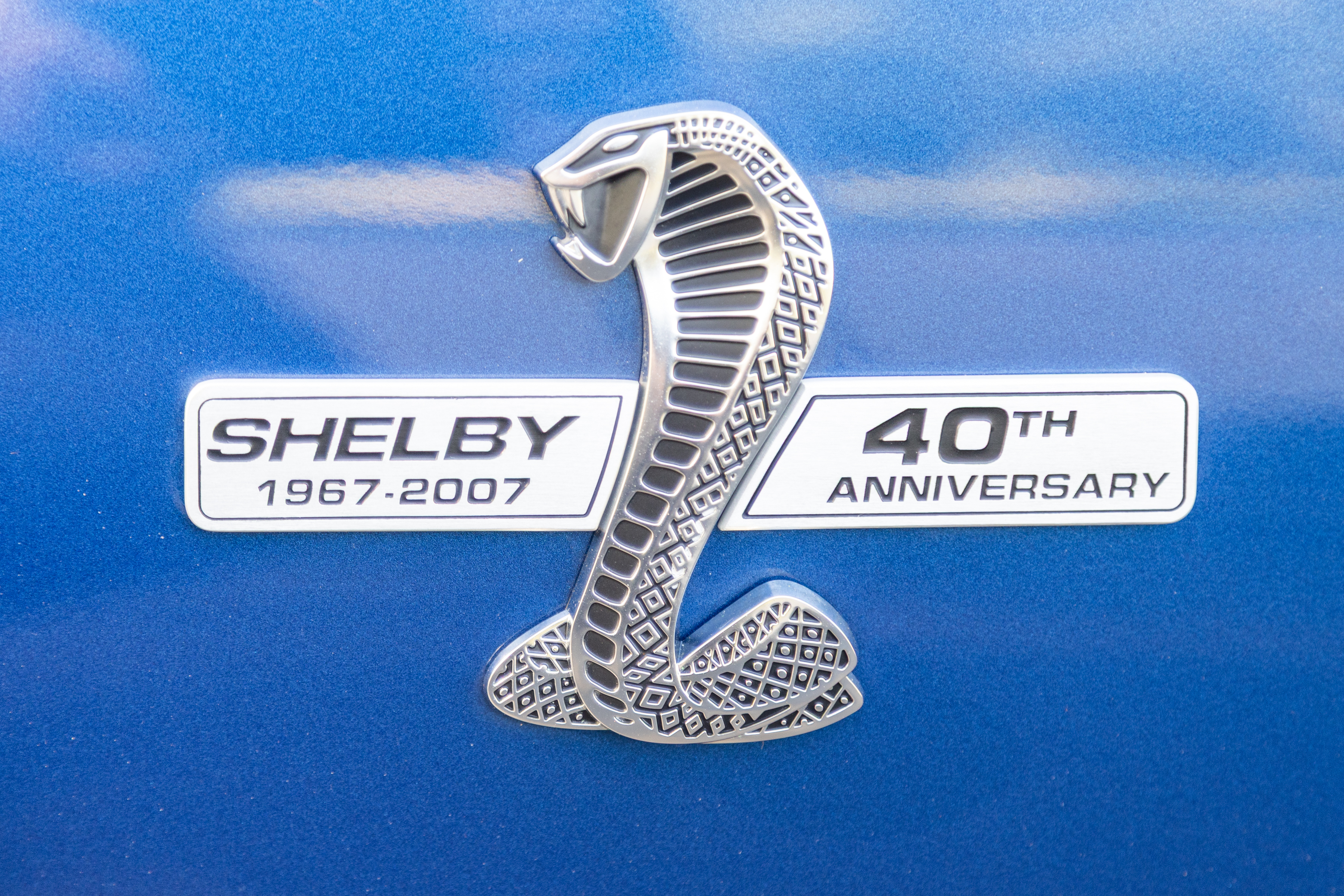 Shelby GT500_20250509 - 030