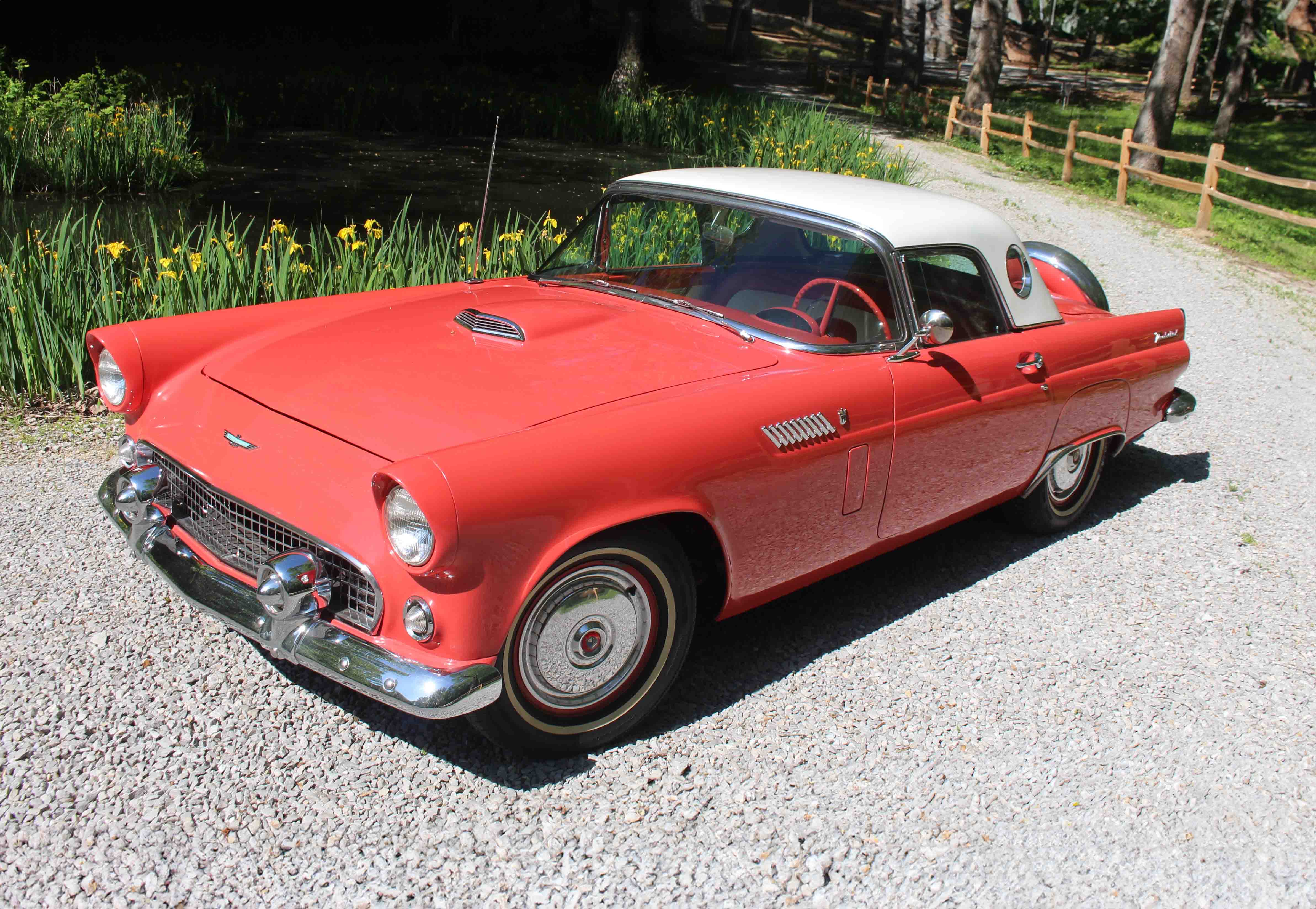 1956 Ford Thunderbird
