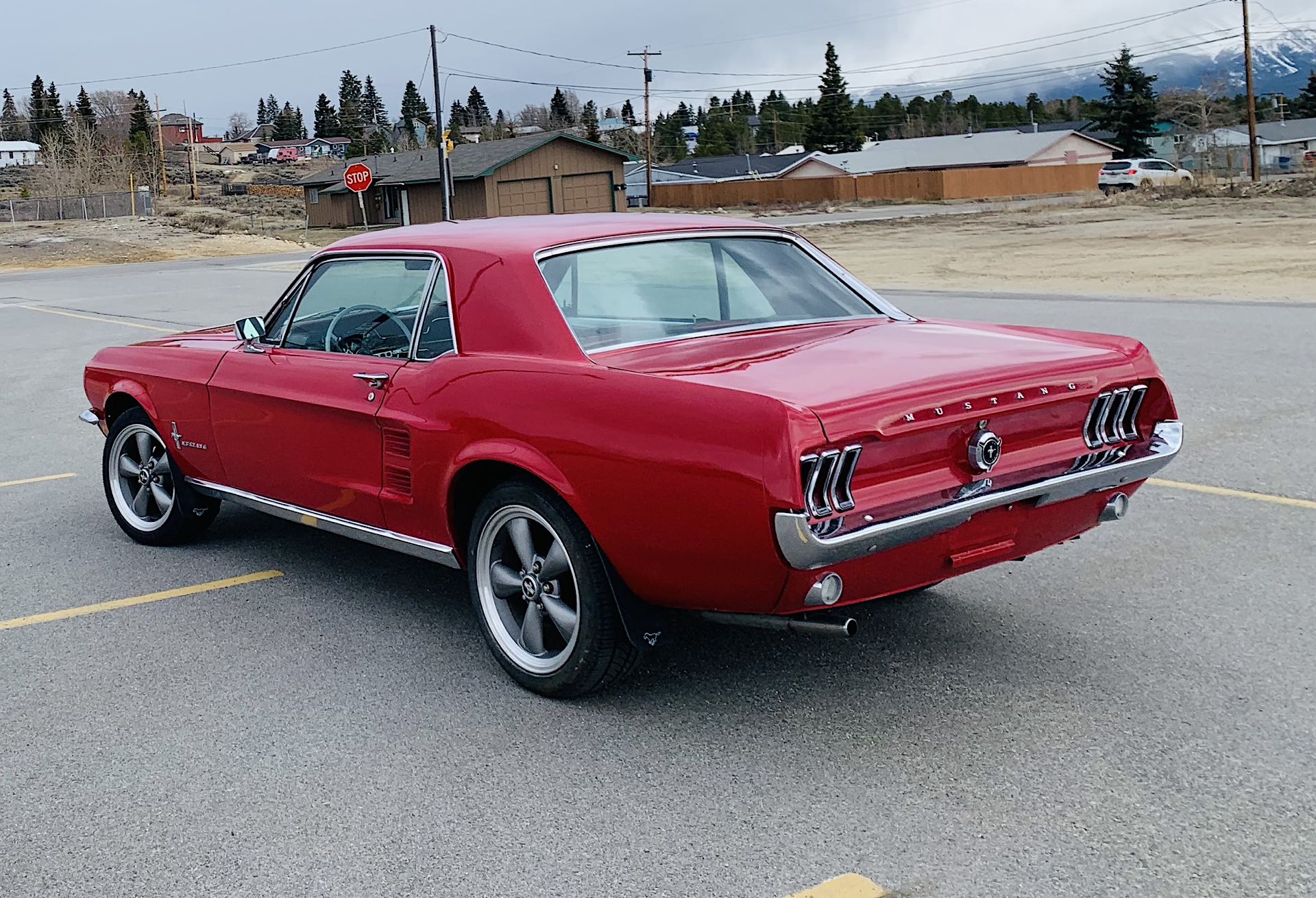 Gallery photo 6