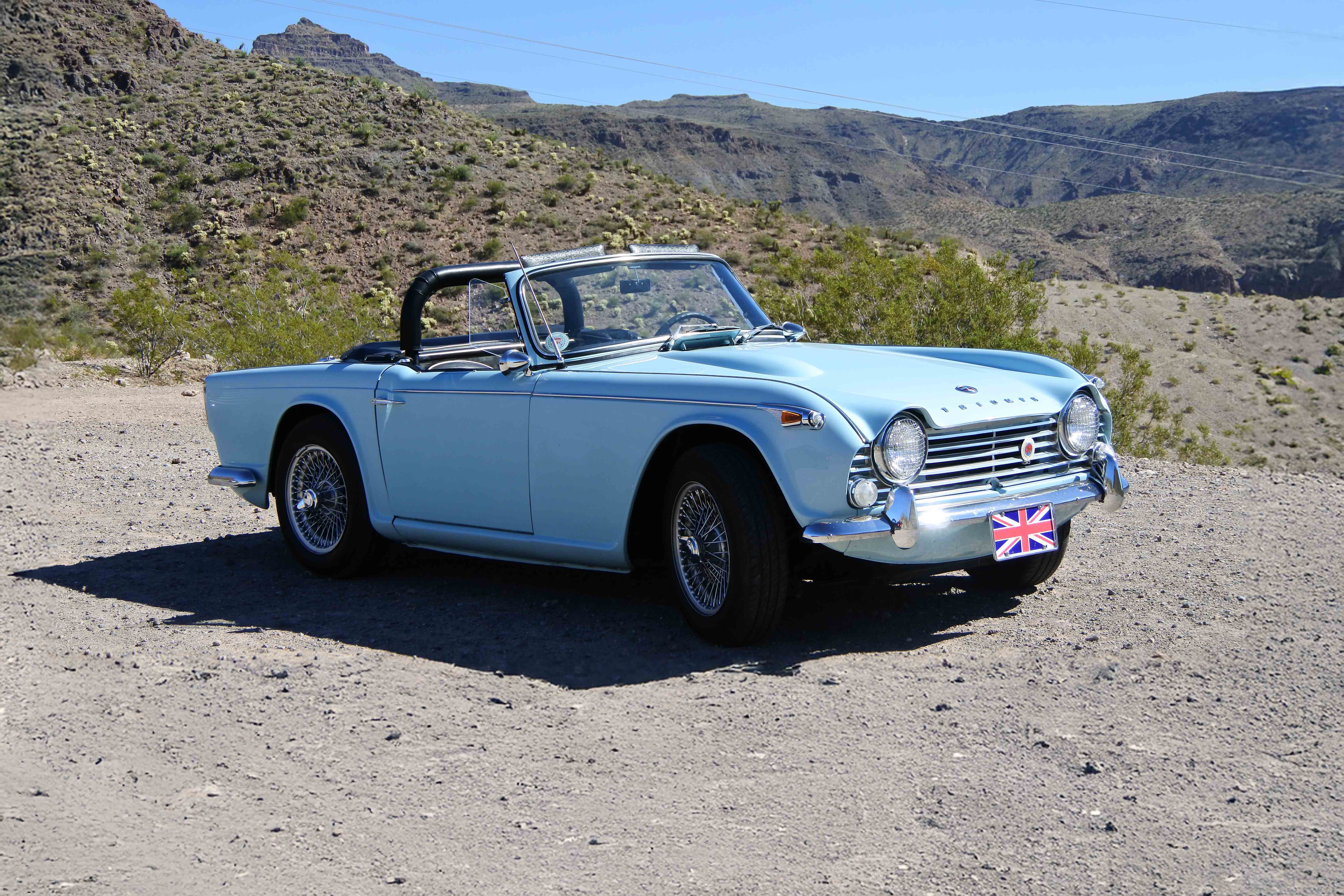 TRINIDAD RICARDOα TRiNiDAD RICARDOα WorldChampionLimited KHR