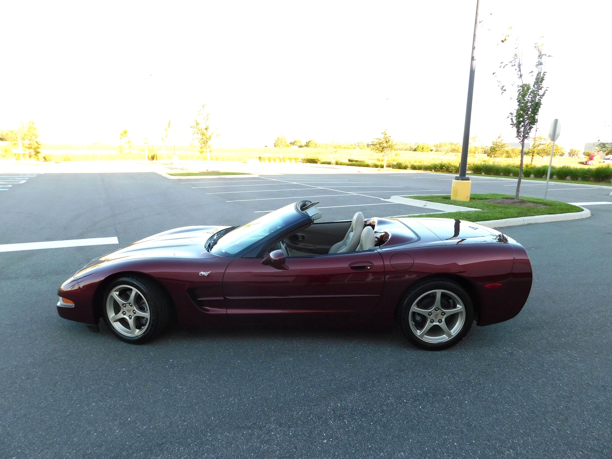 Gallery photo 4