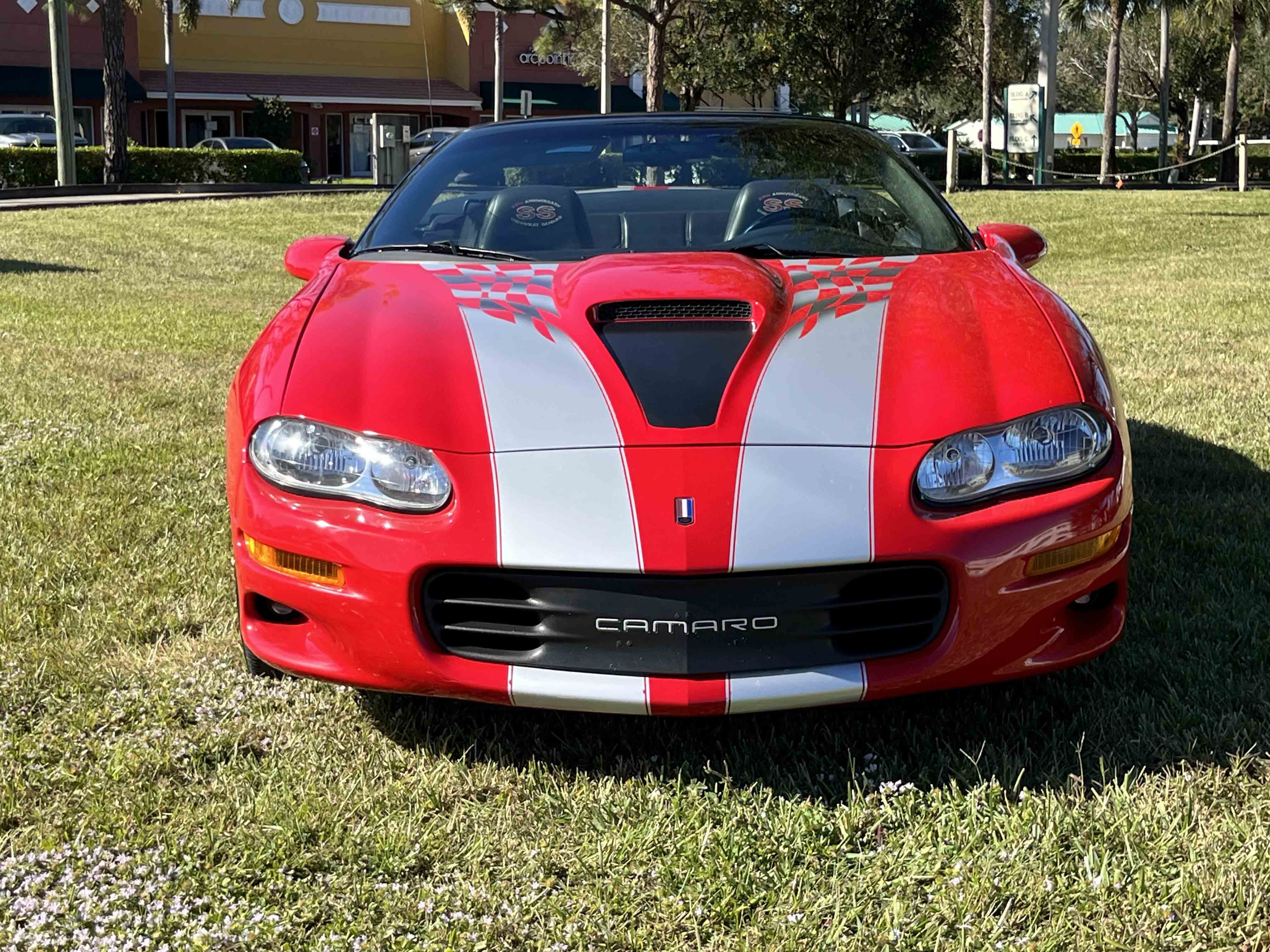 Gallery photo 2