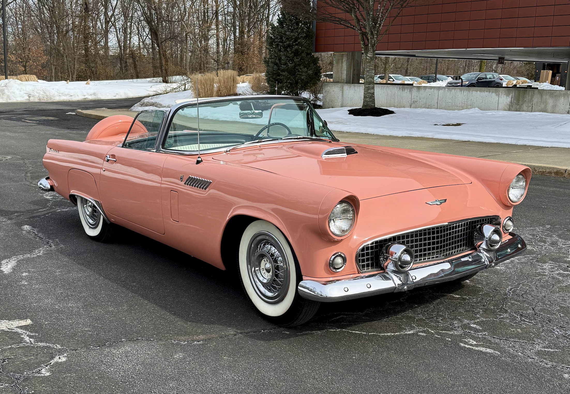 1956 Ford Thunderbird