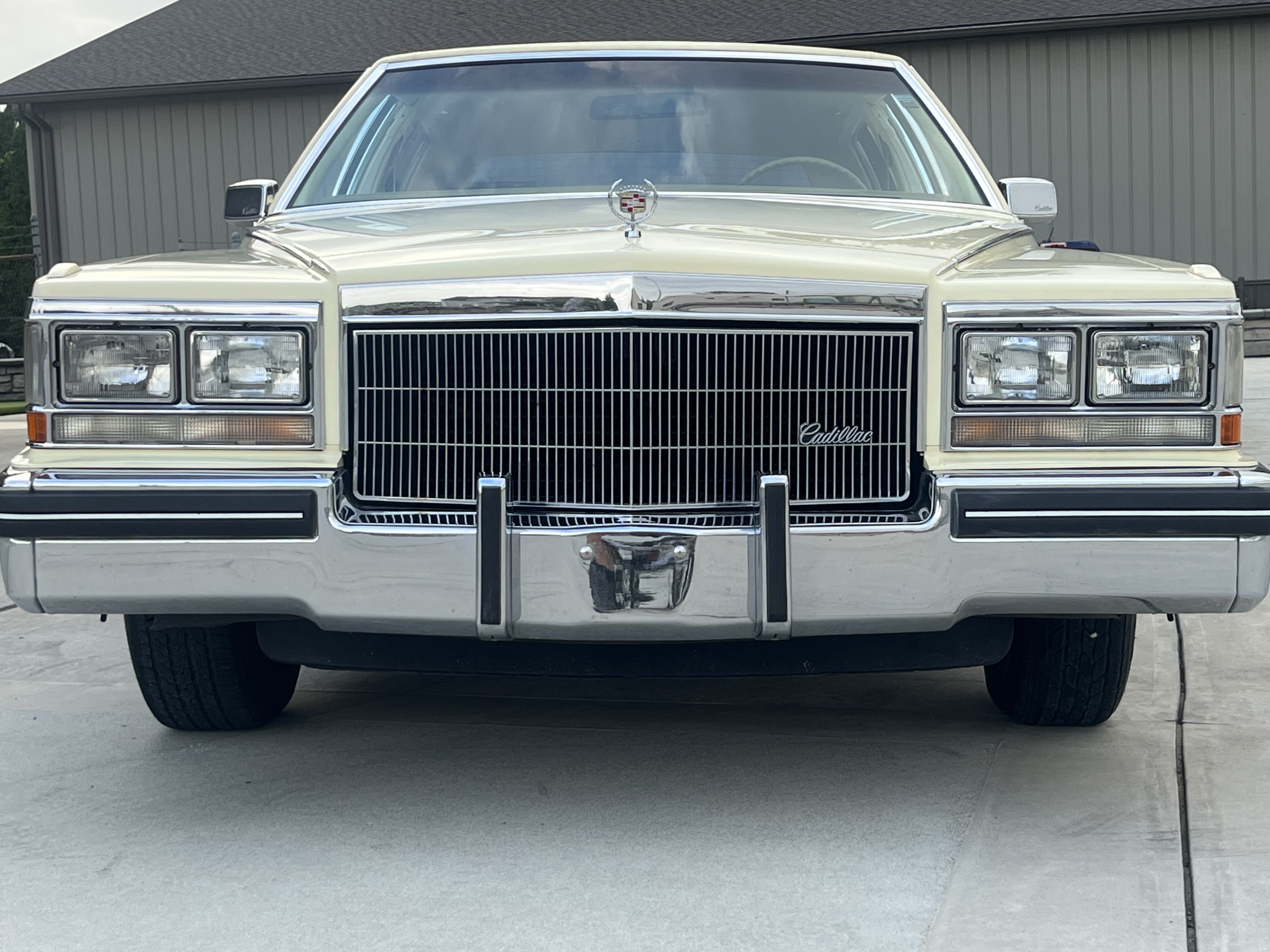 Gallery photo 5