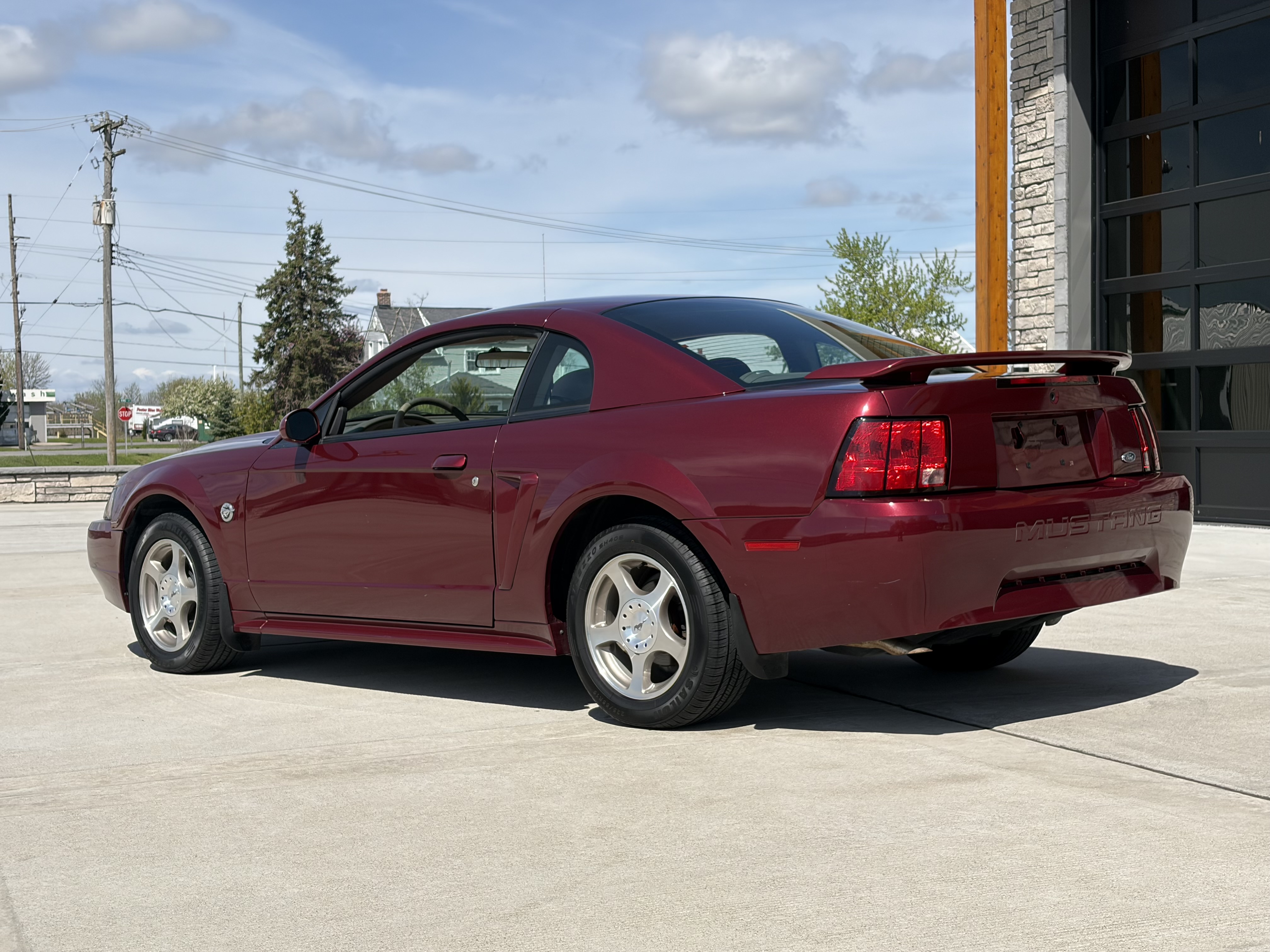 Gallery photo 5