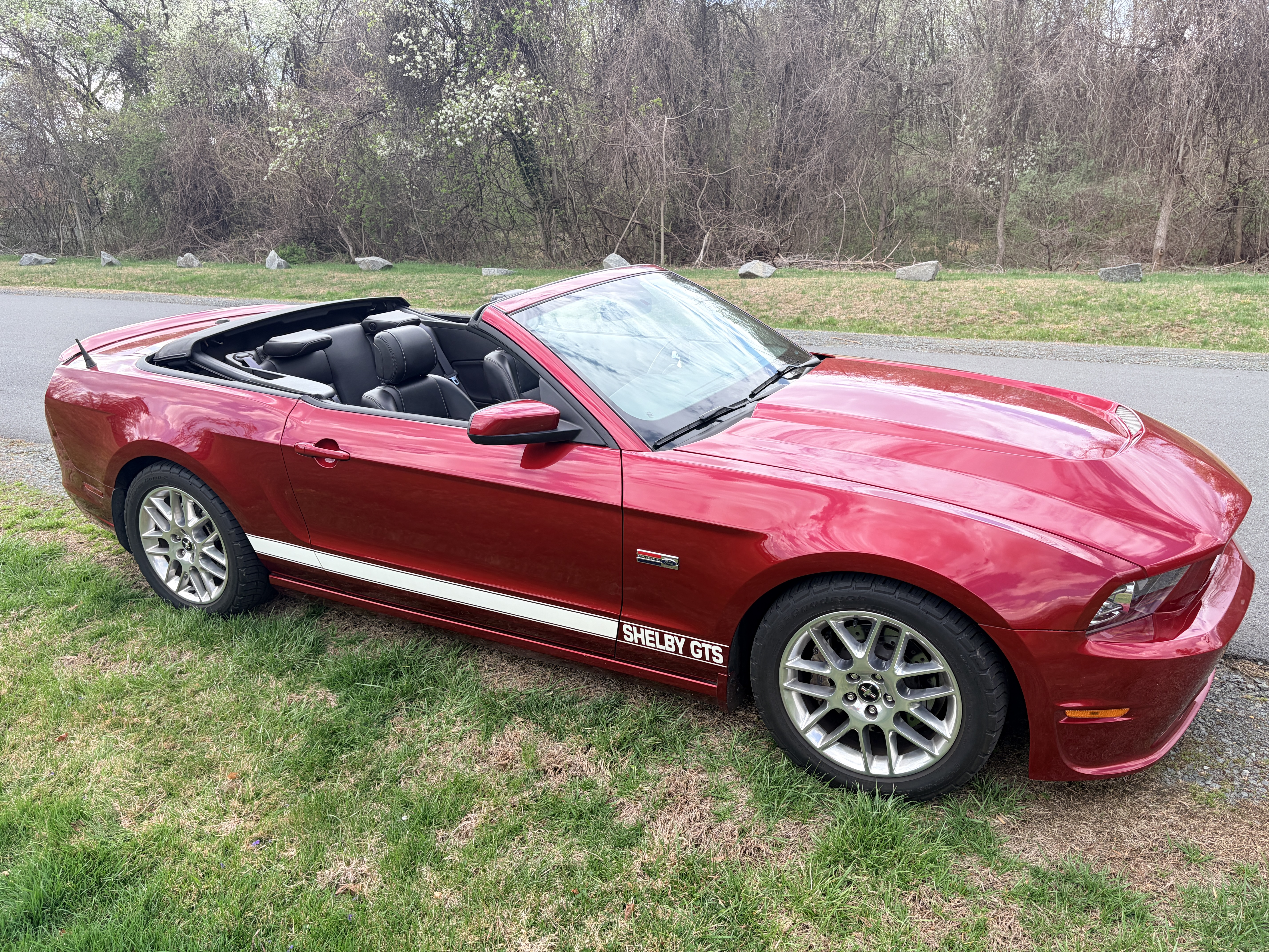 2014 Ford Mustang Shelby GTS V6 Convertible