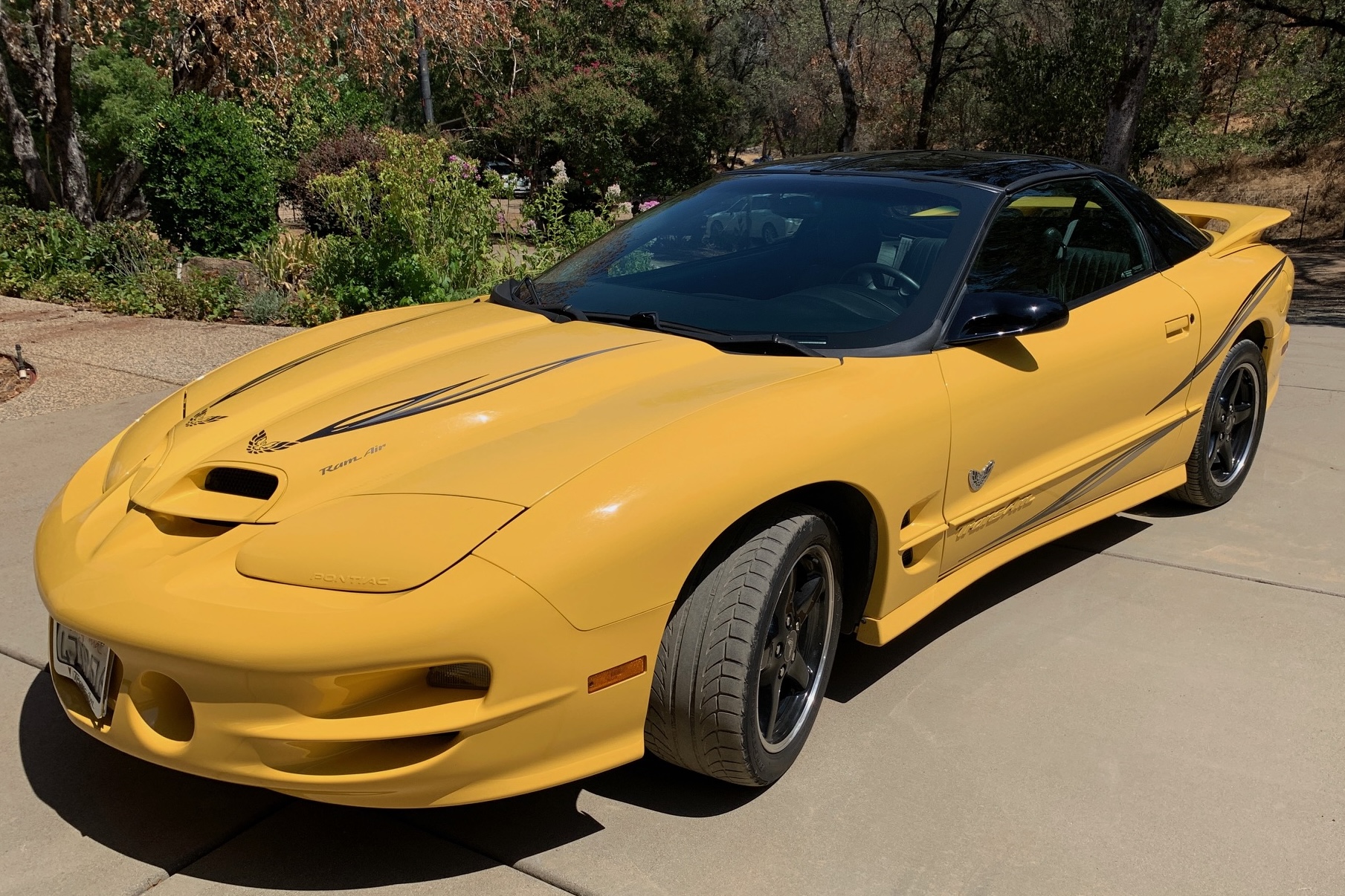 One-Owner 2002 Pontiac Firebird Trans Am WS6 Collector Edition Coupe