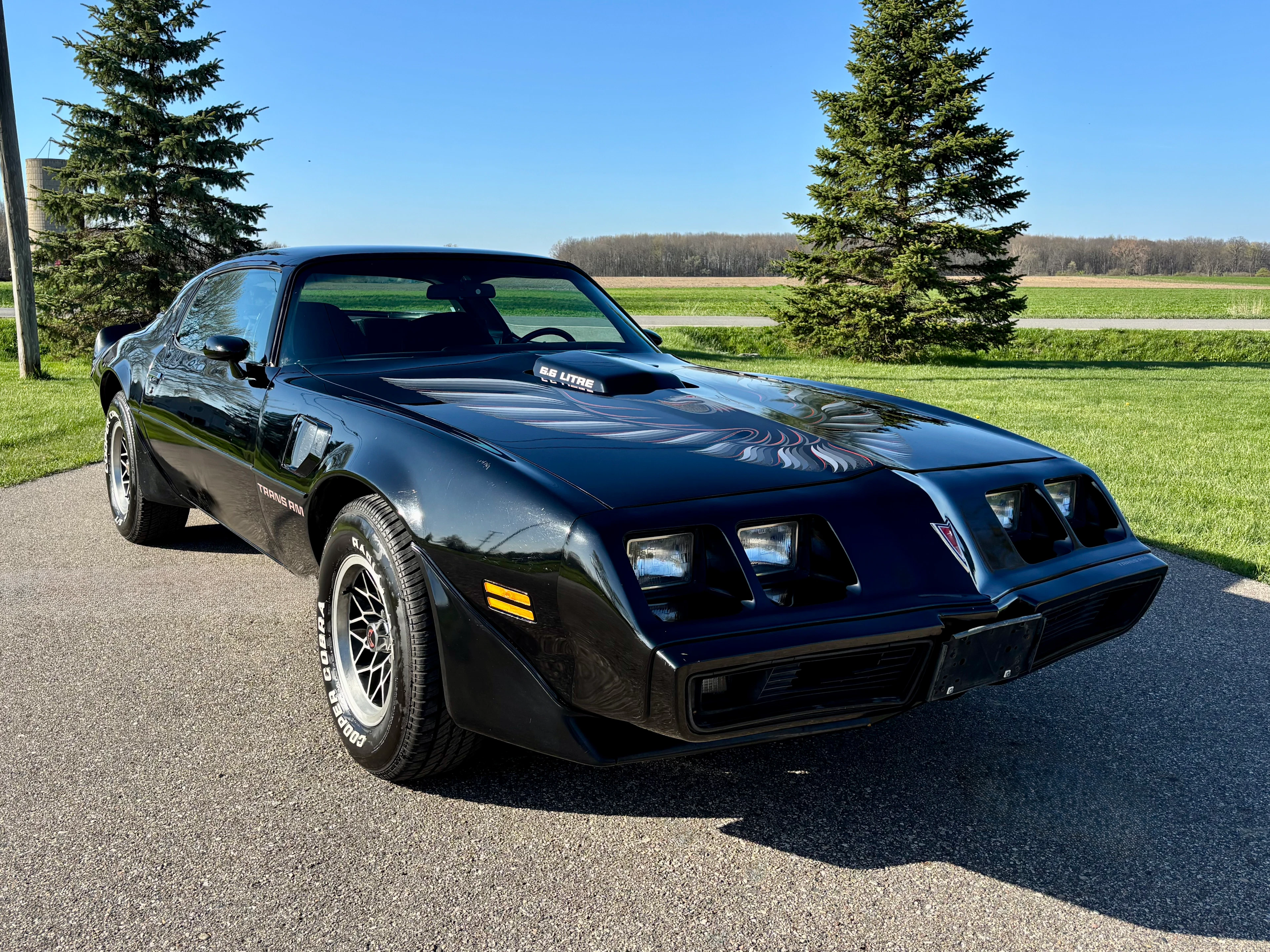1979 Pontiac Firebird Trans Am