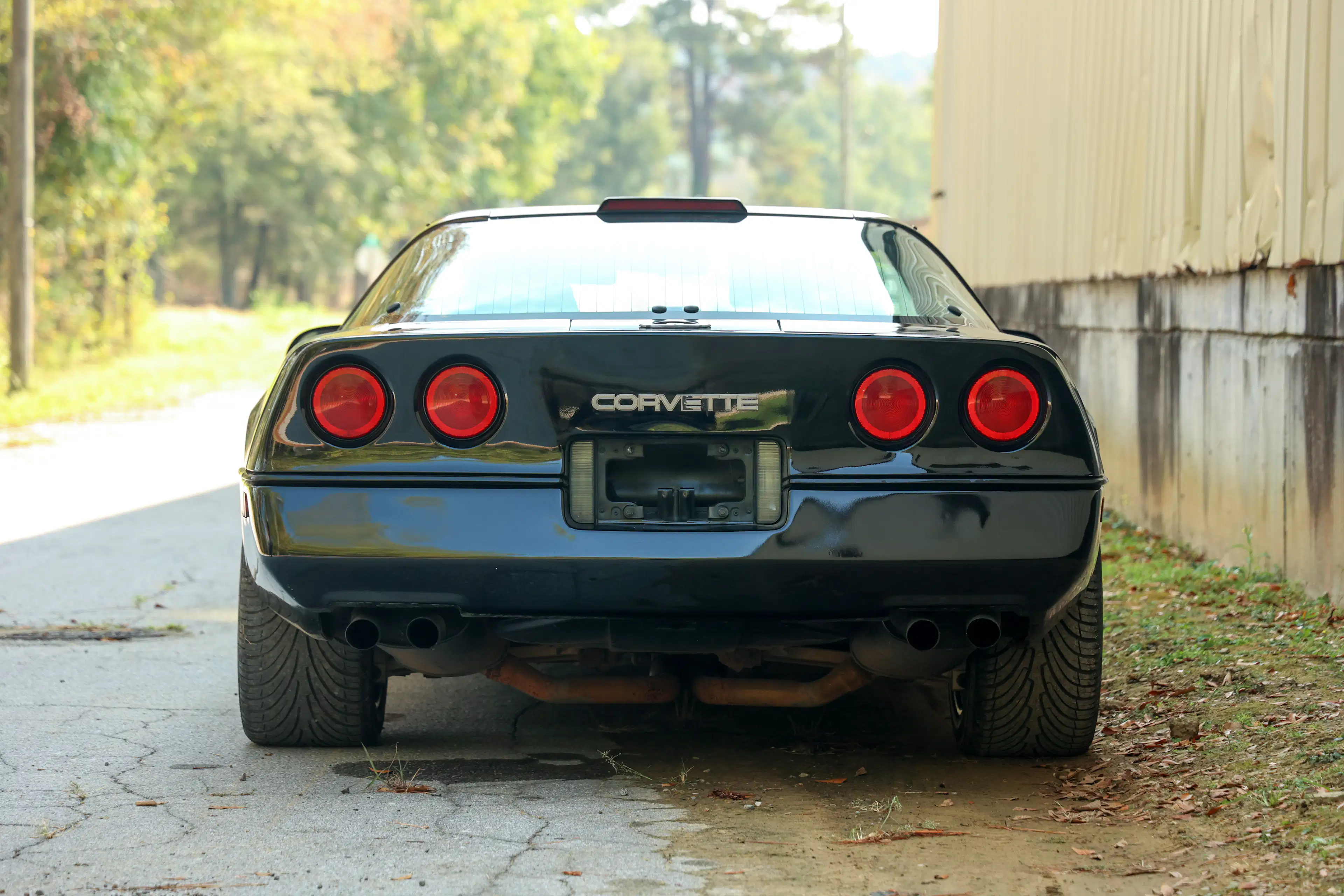 Gallery photo 2