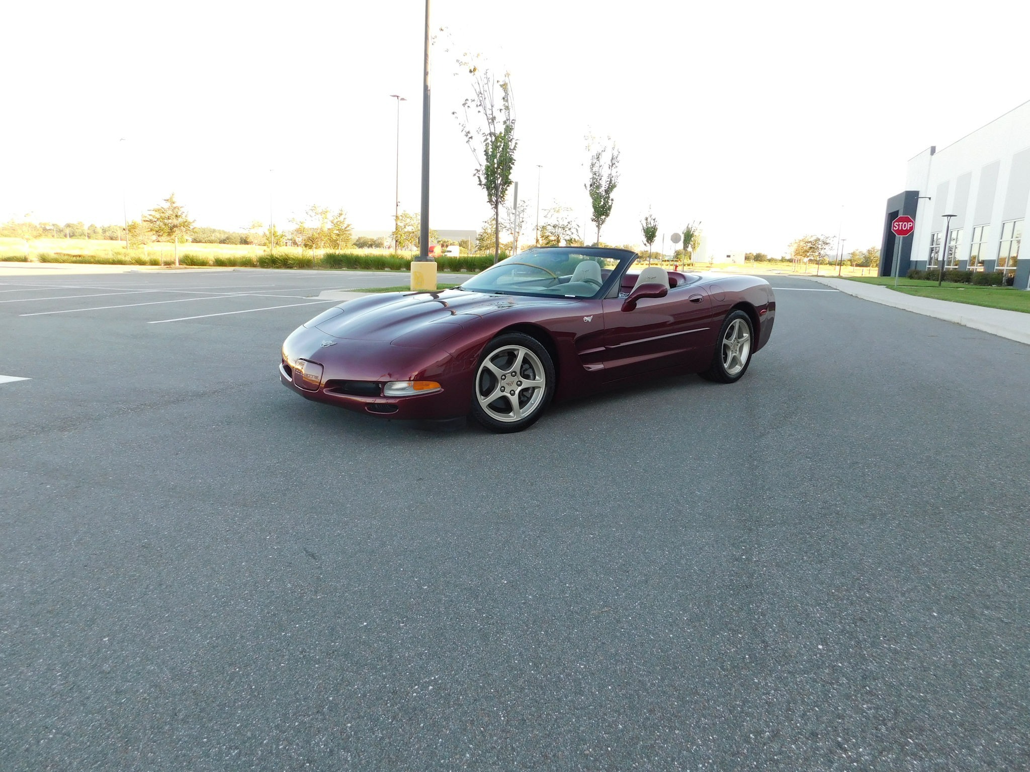 Gallery photo 3