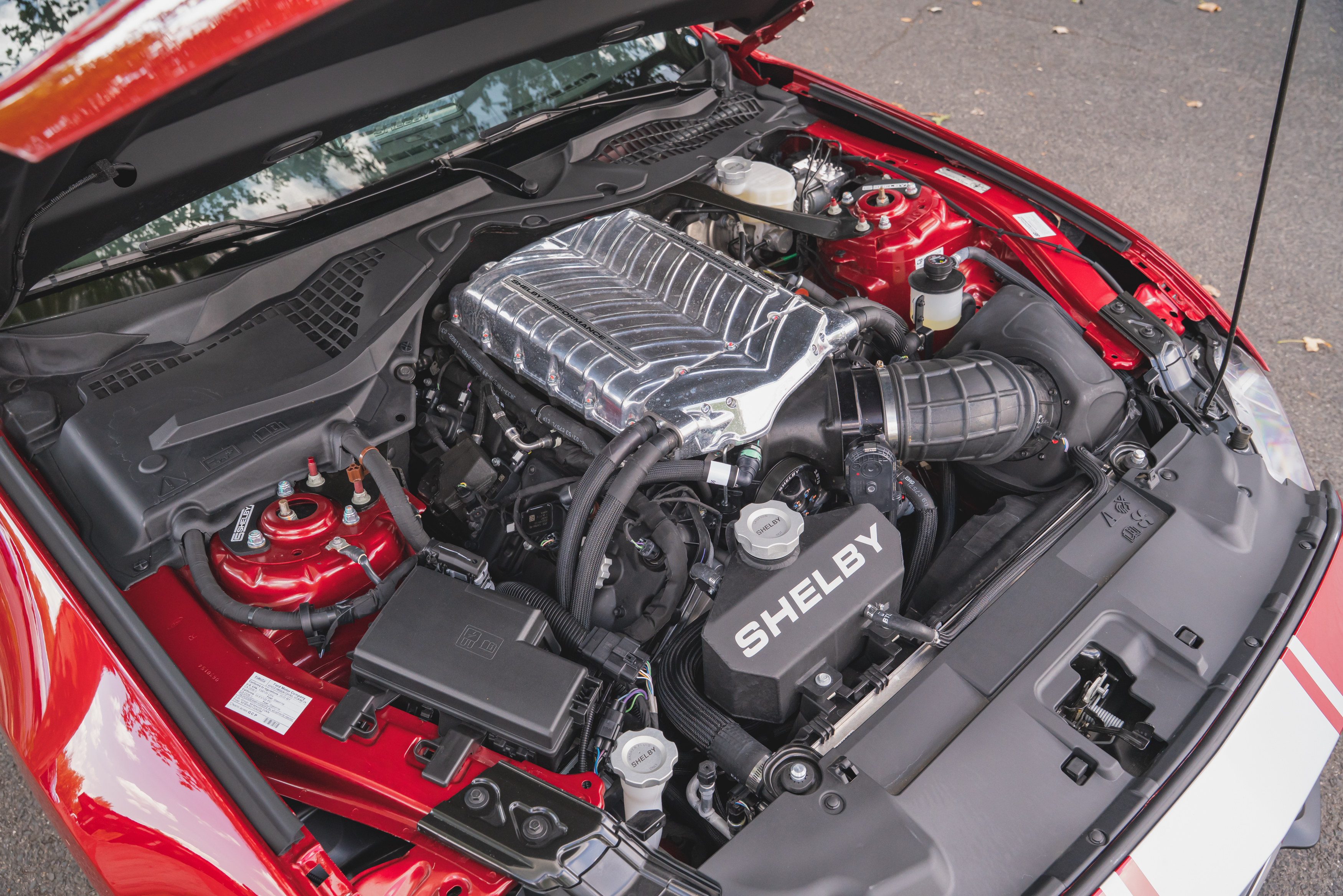 2022 Ford Shelby Mustang GT Super Snake-193