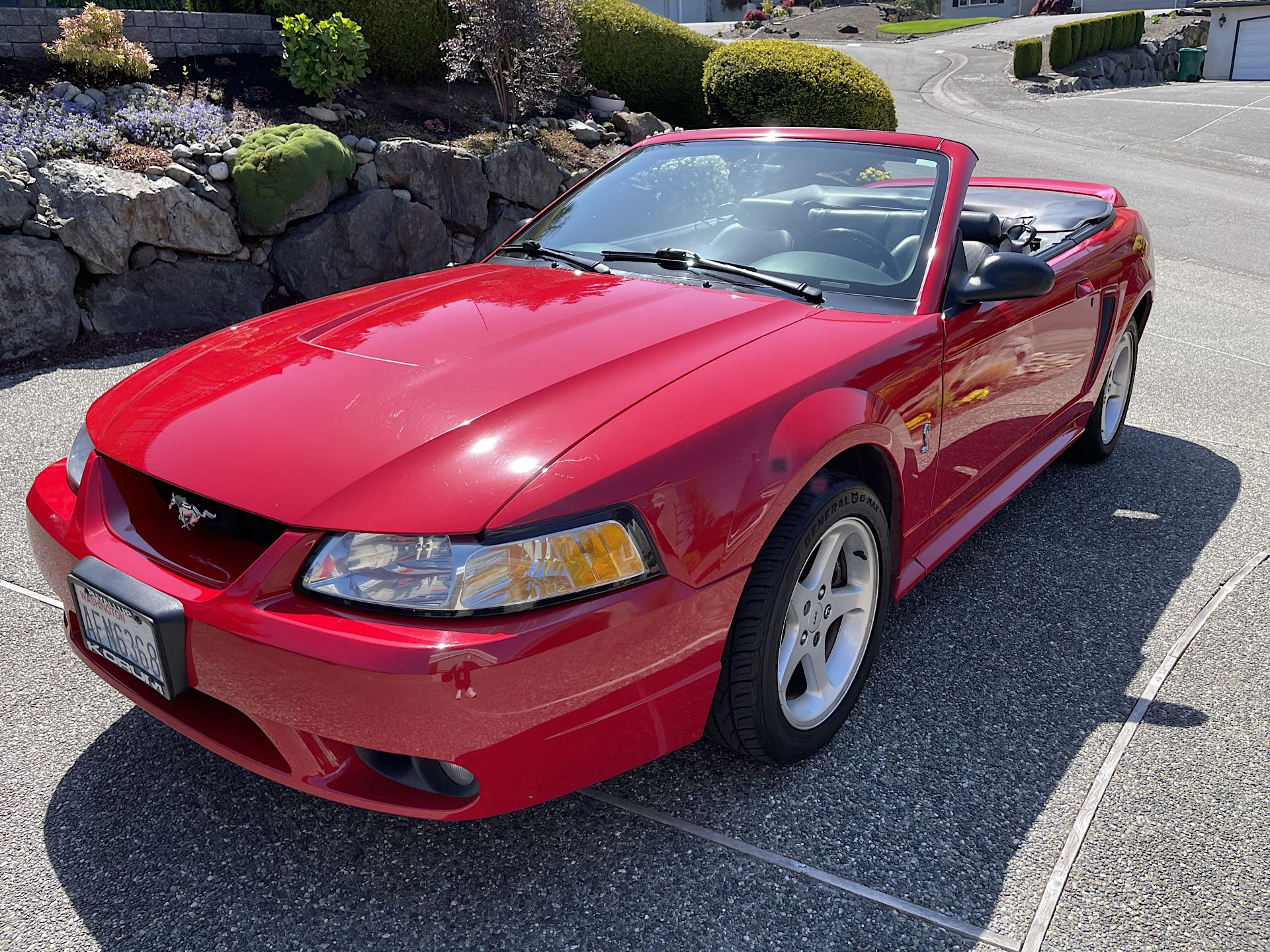 Two-Owner 1999 Ford Mustang Cobra Convertible Five-Speed