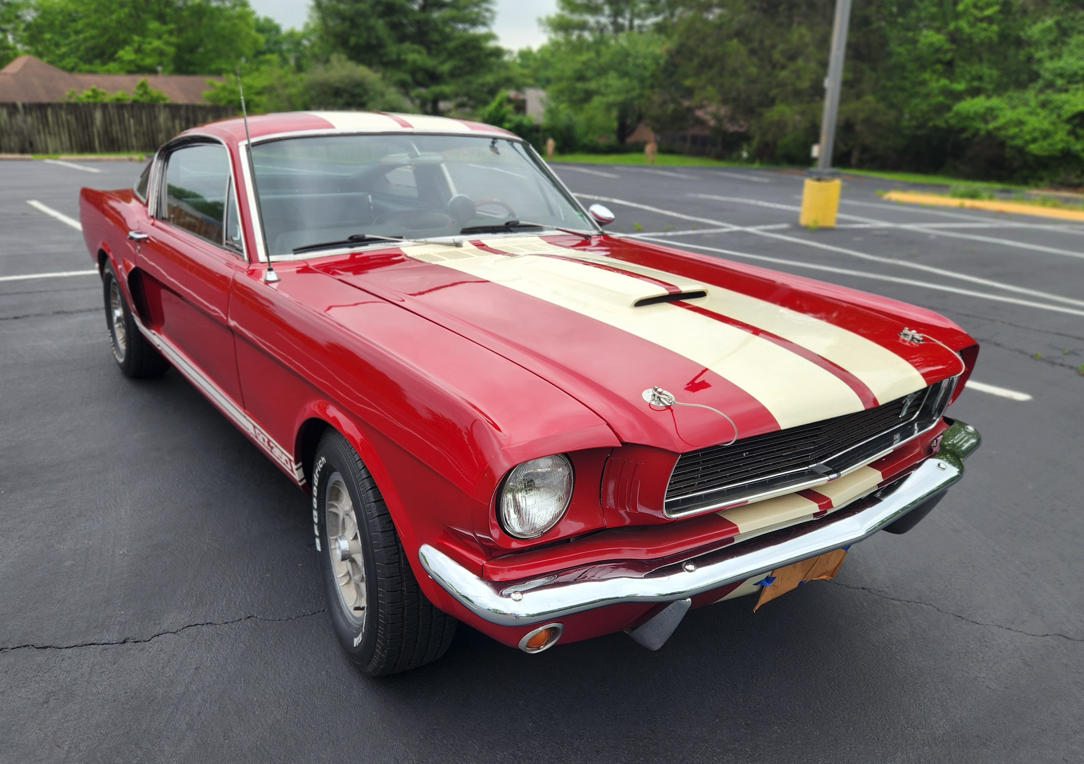49-Years-Family-Owned 1966 Shelby Mustang GT350