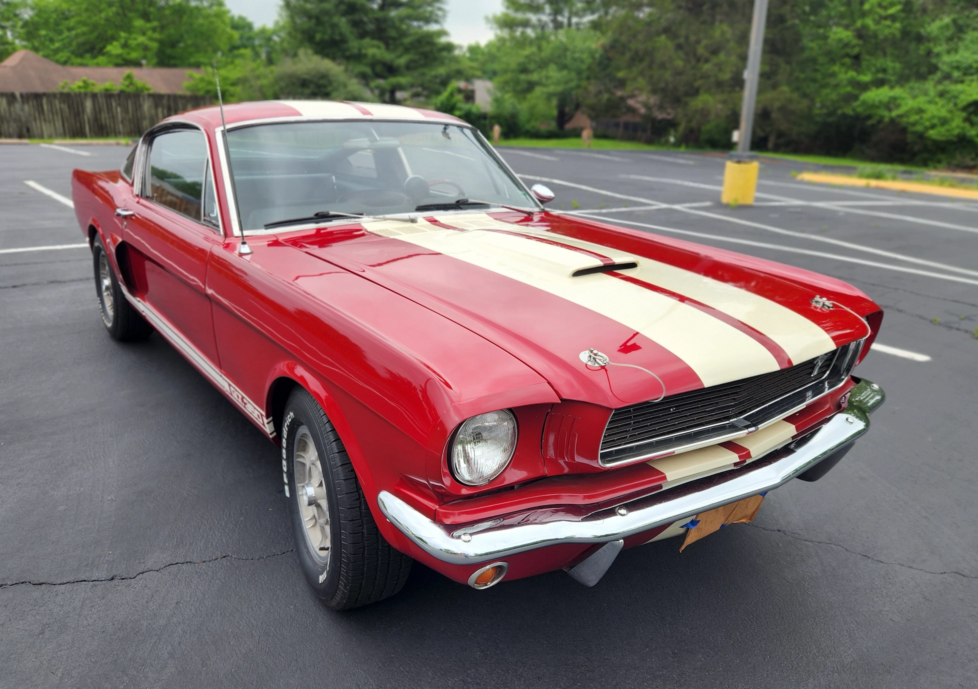 49-Years-Family-Owned 1966 Shelby Mustang GT350